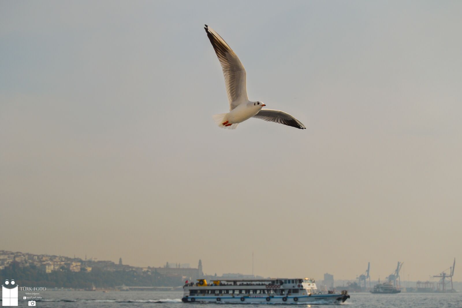 Nikon D3200 sample photo. Istanbul, gemi, kızkulesi photography
