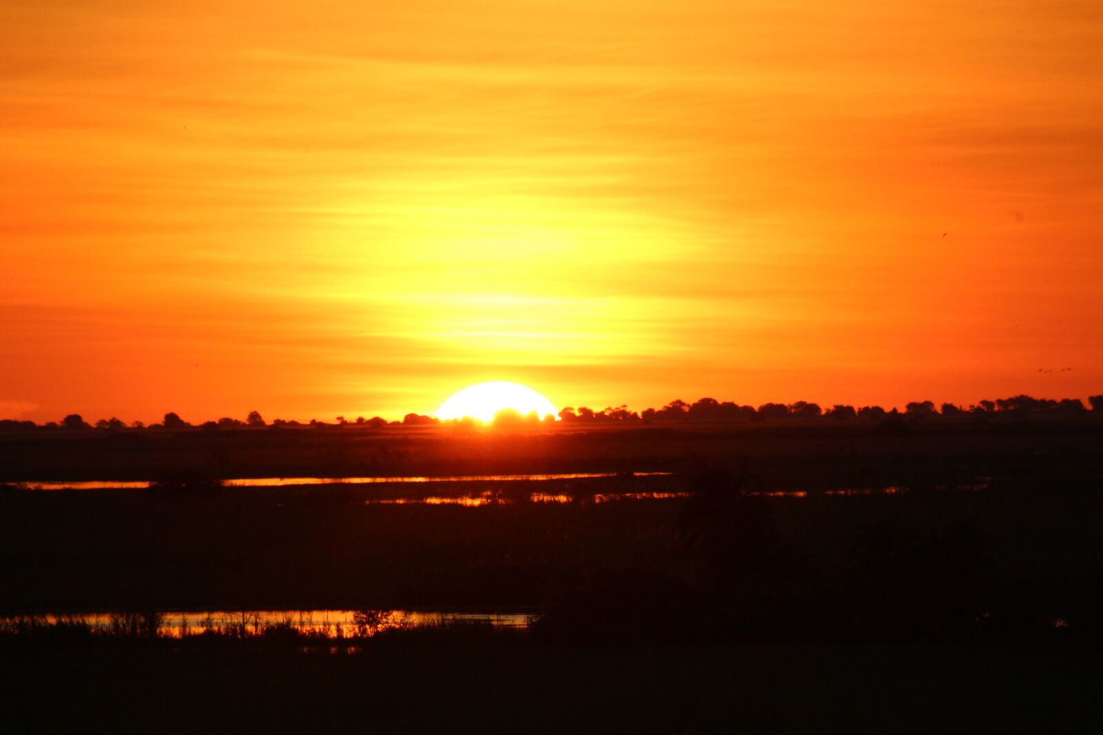 Canon EOS 1300D (EOS Rebel T6 / EOS Kiss X80) sample photo. Africa, sunset, nature photography