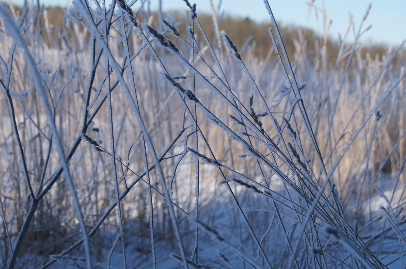 Sony SLT-A35 sample photo. Hovdala, winter, winter magic photography