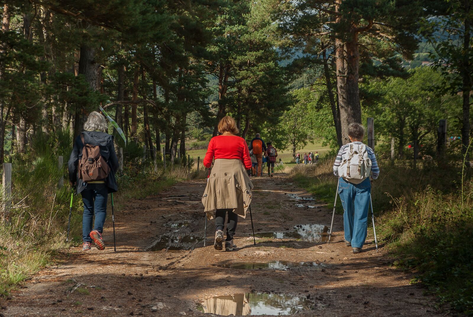 Pentax K10D sample photo. Hikers, walkers, path photography