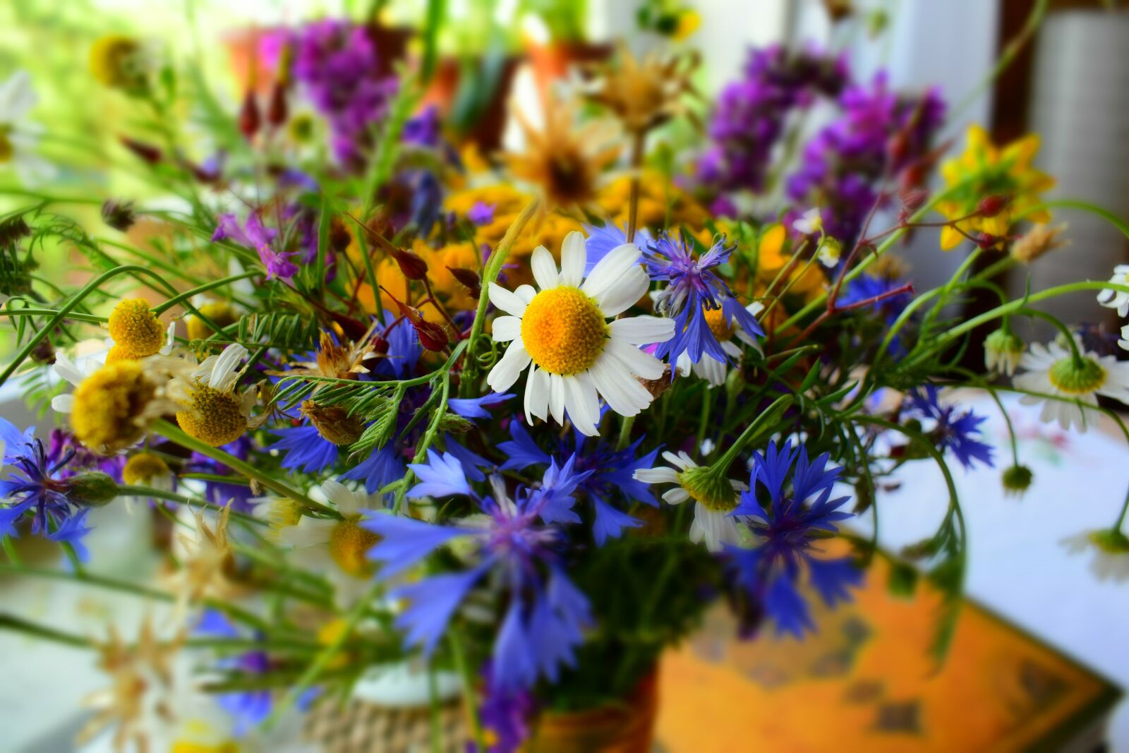 Nikon D5300 sample photo. Bouquet of flowers, flowers photography