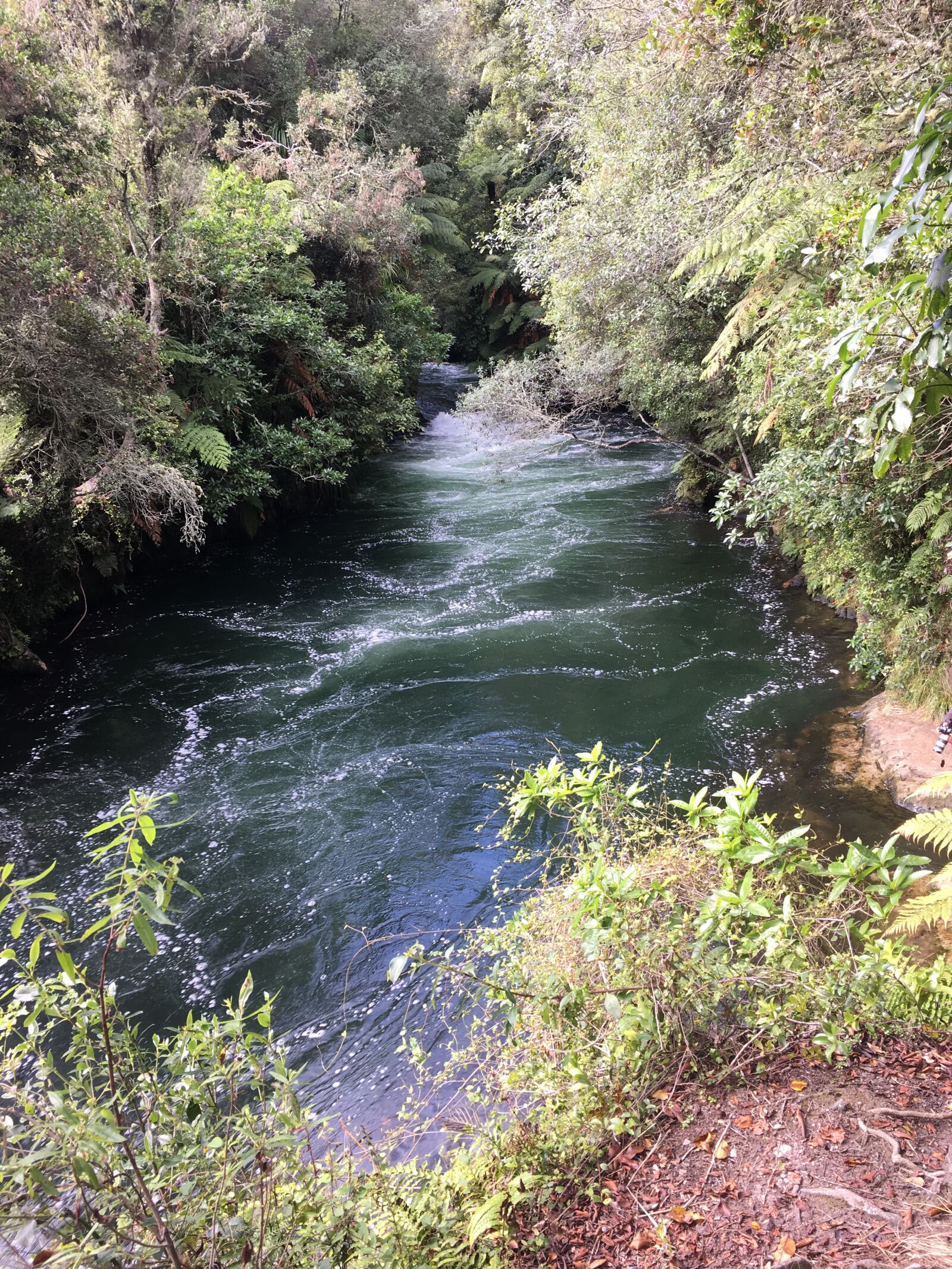 Apple iPhone 6s sample photo. Okere falls, new zealand photography