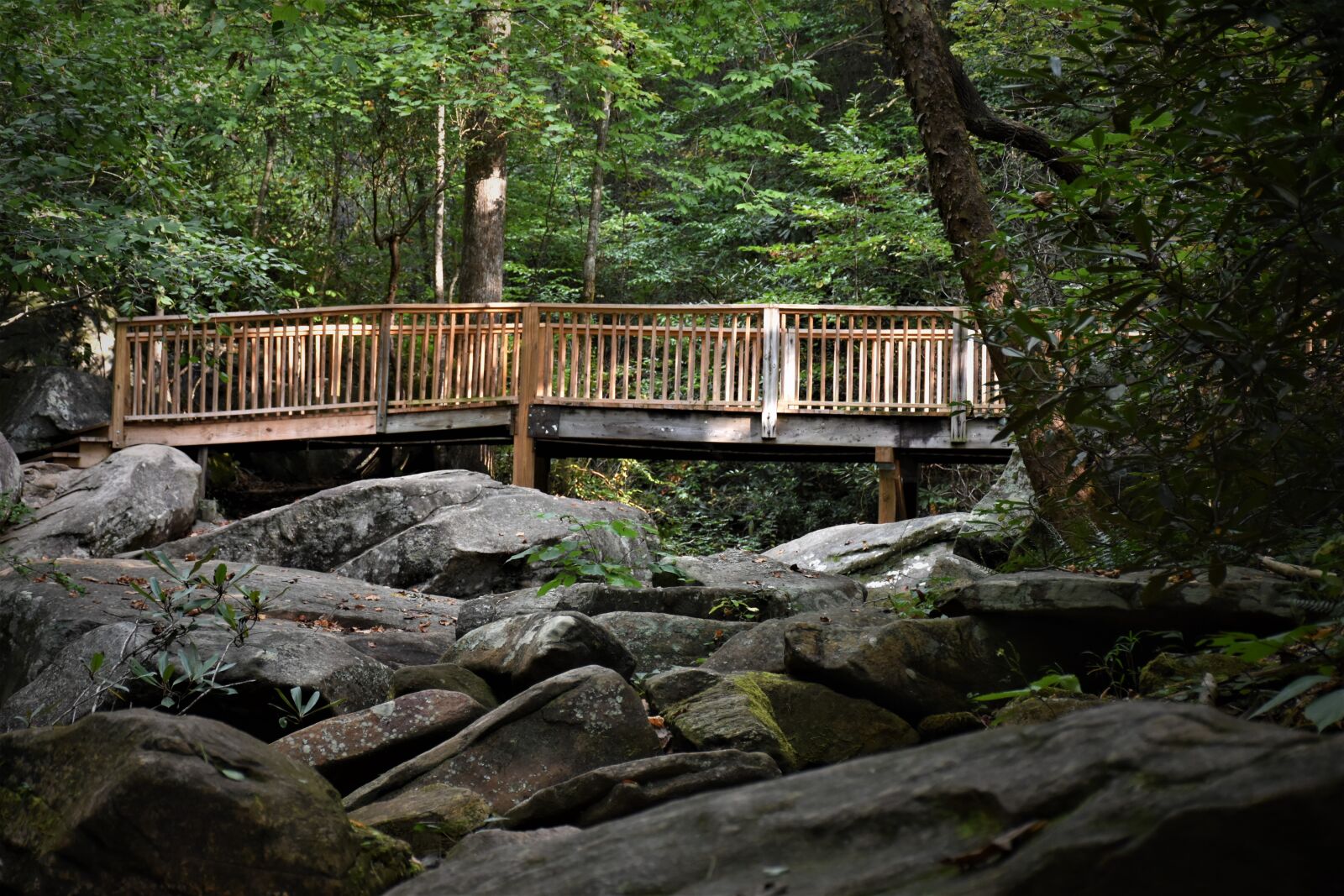 Nikon D7200 sample photo. Bridge, creek, river, rocks photography