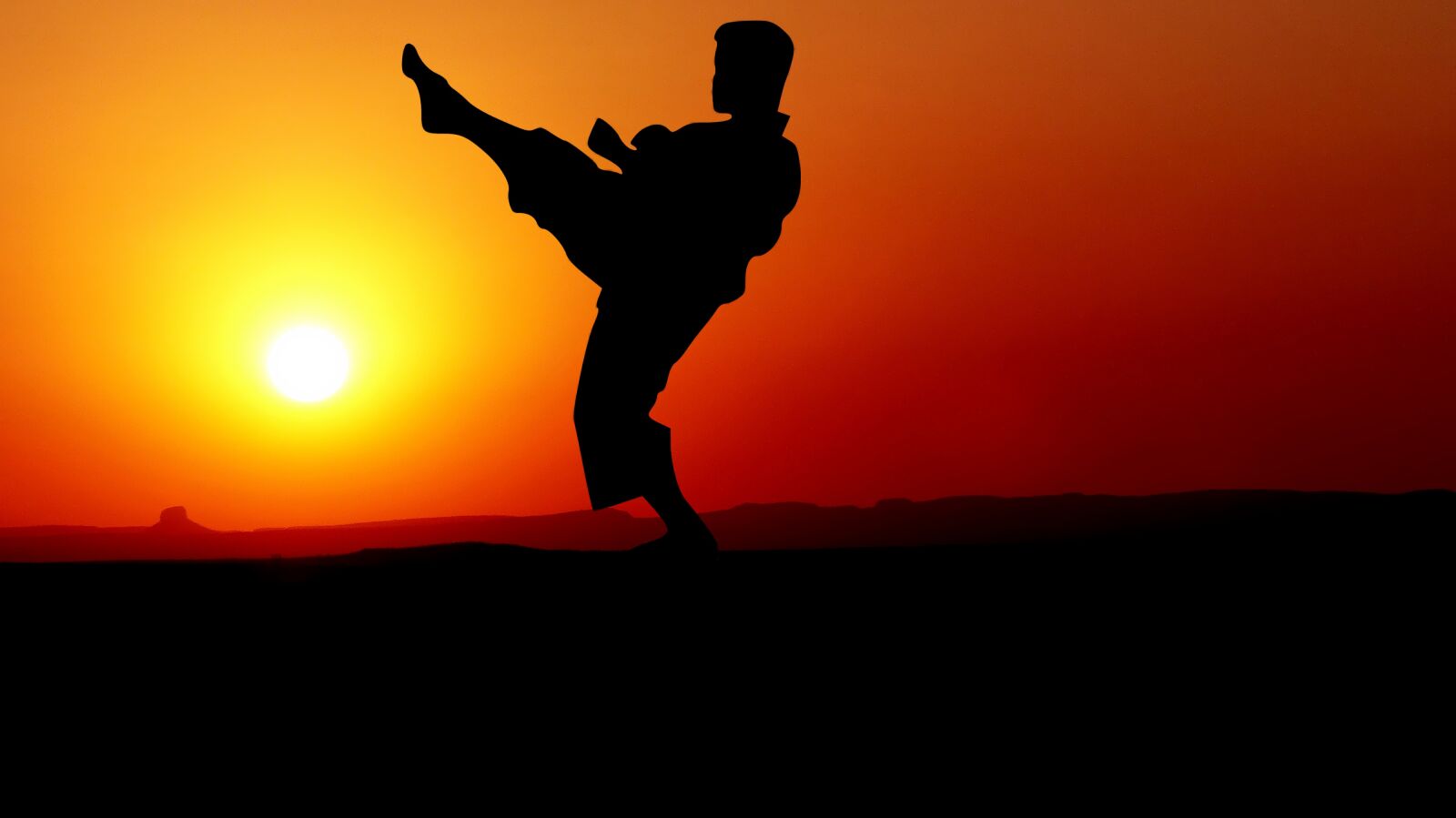 Panasonic Lumix DMC-FZ200 sample photo. Sunset, karate, kata photography