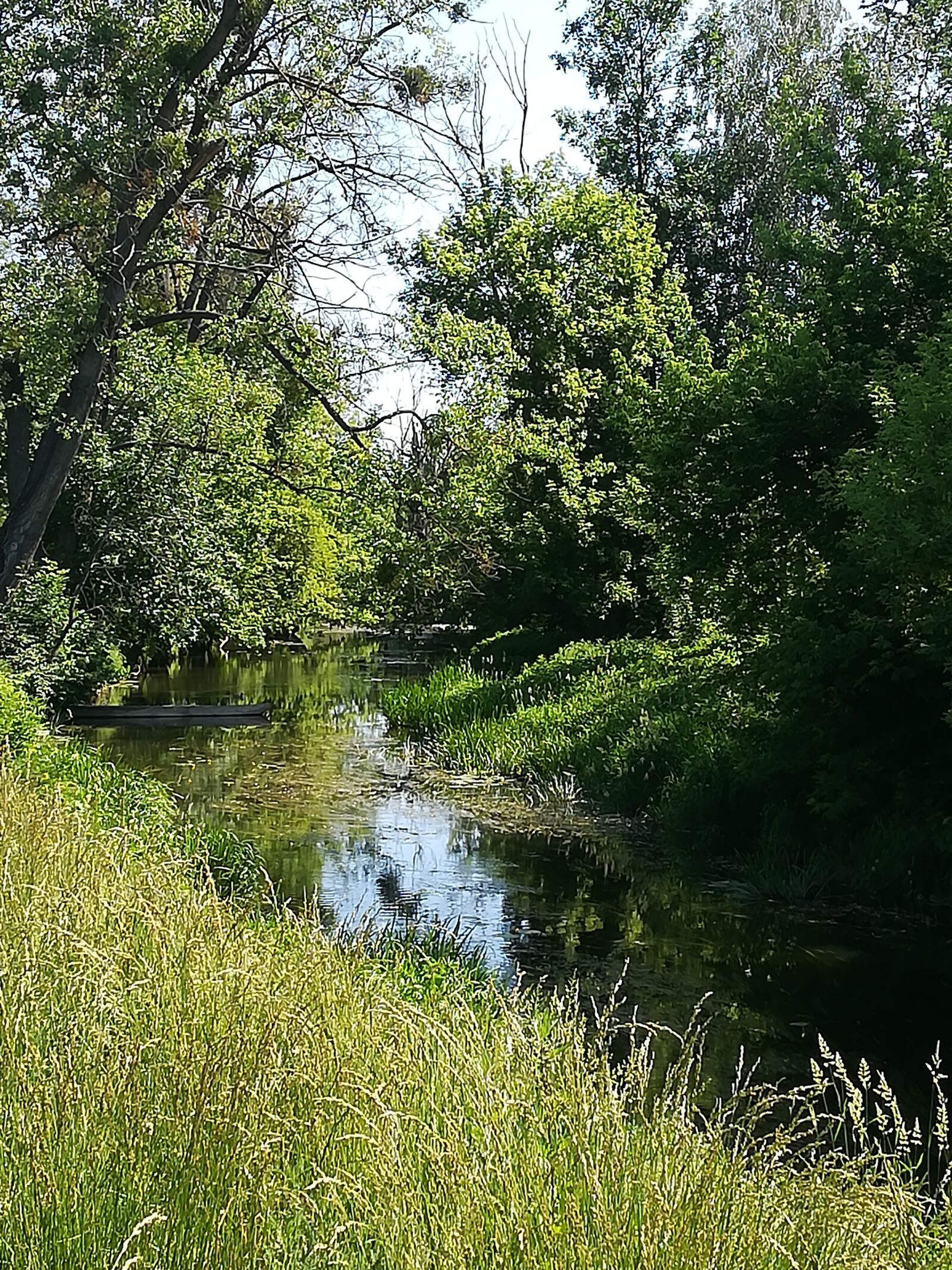 HUAWEI PRA-LX1 sample photo. The river huczwa, hrubiesz photography