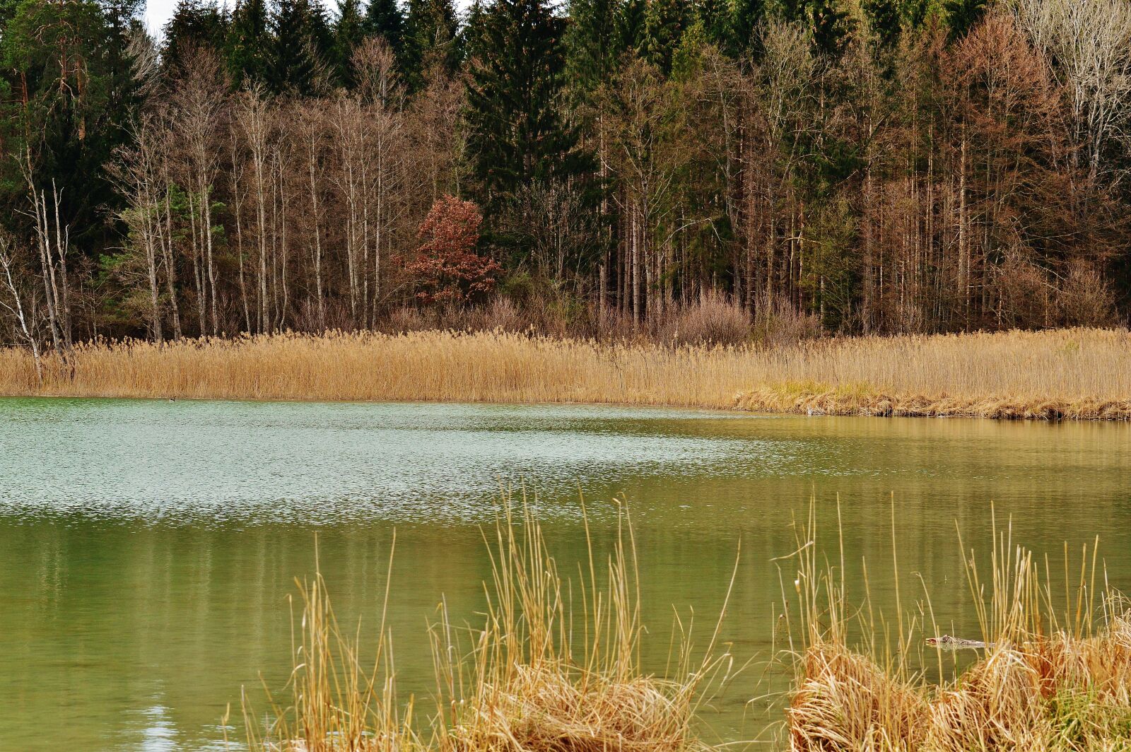 Nikon D3200 sample photo. Easter lake, iffeldorf, landscape photography