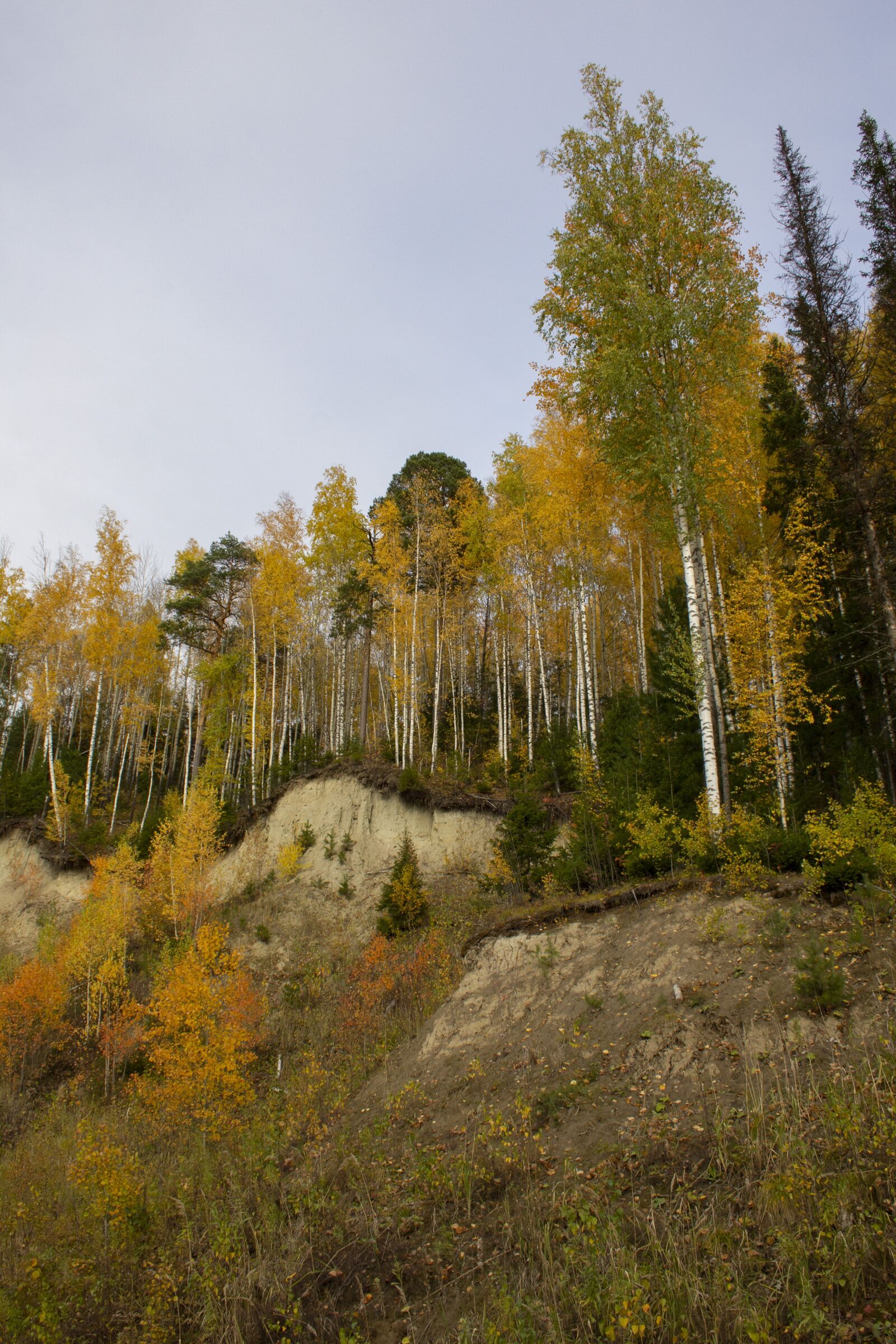 Canon EOS 60D sample photo. Autumn, landscape, nature photography