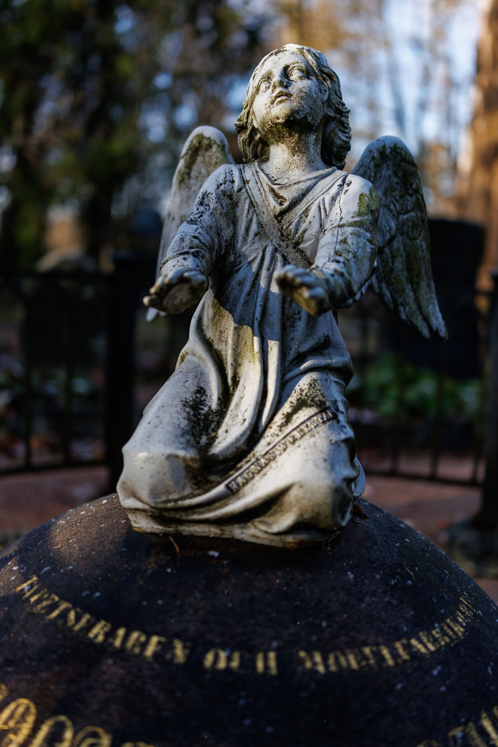 Canon EOS R5 Mark II sample photo. Morning light angel statue photography