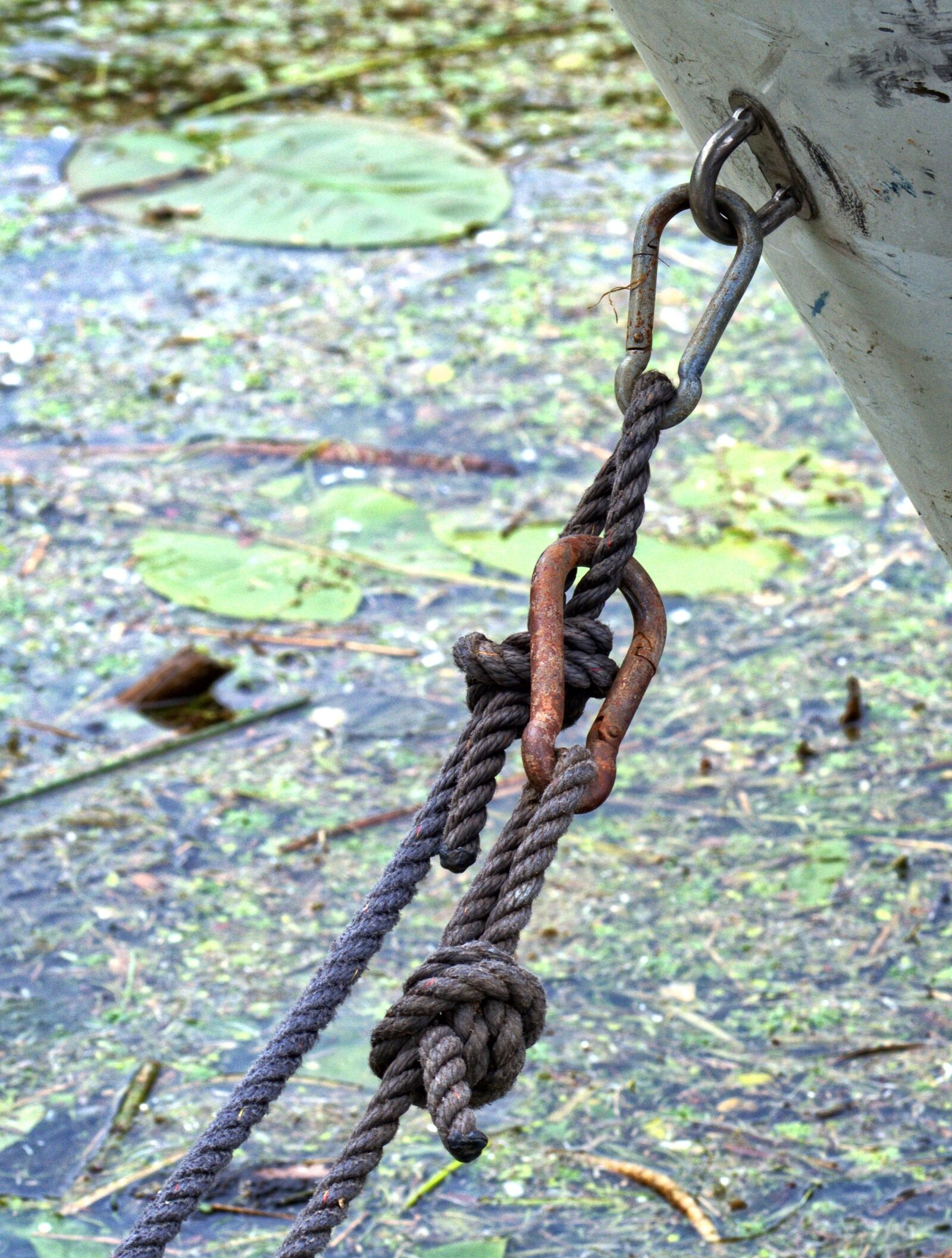 55.0-200.0mm f/4.0-f/5.6 sample photo. Fixing, dew, rope photography