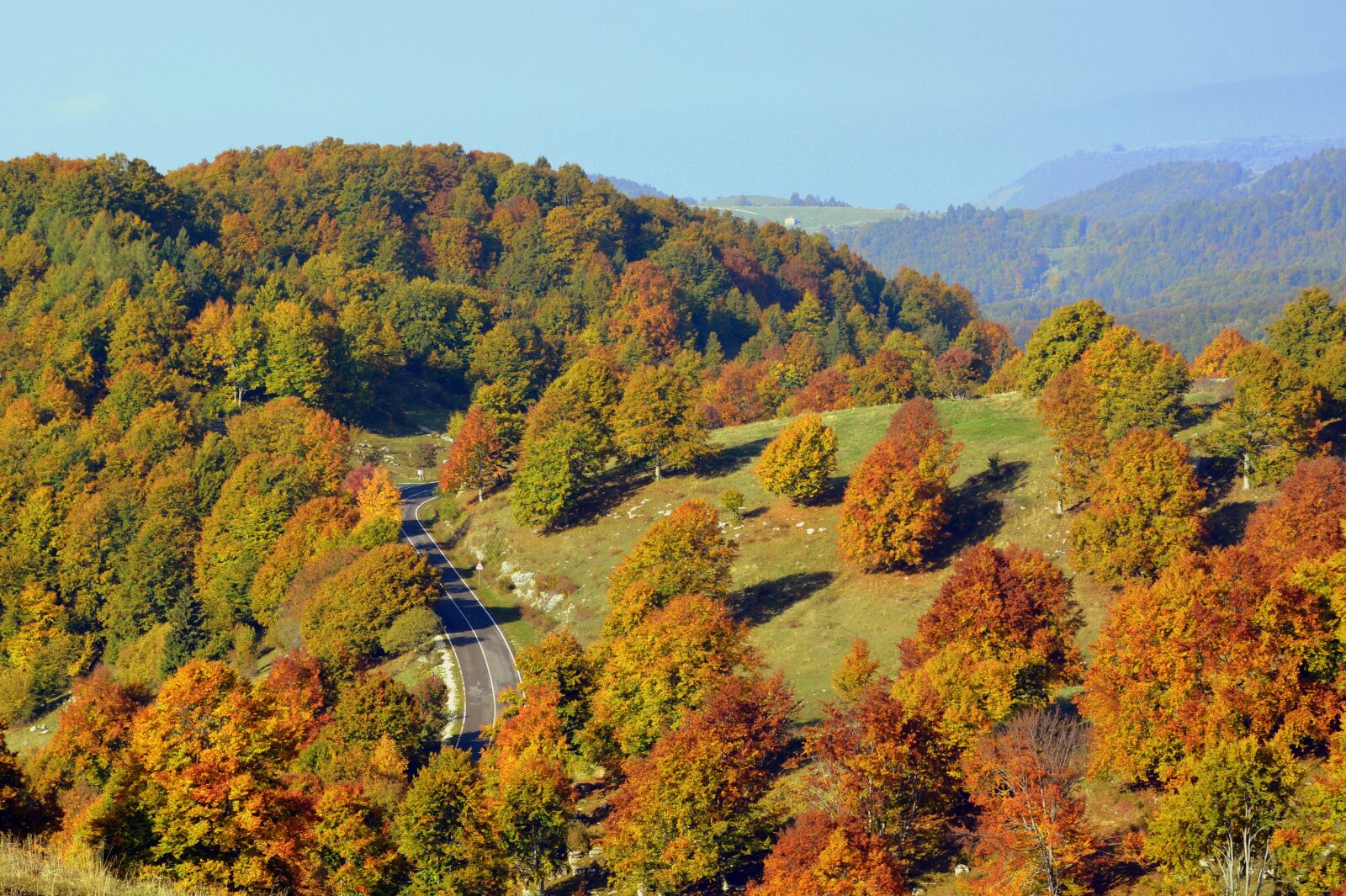 Nikon D7100 sample photo. Excursion, trees, forest photography