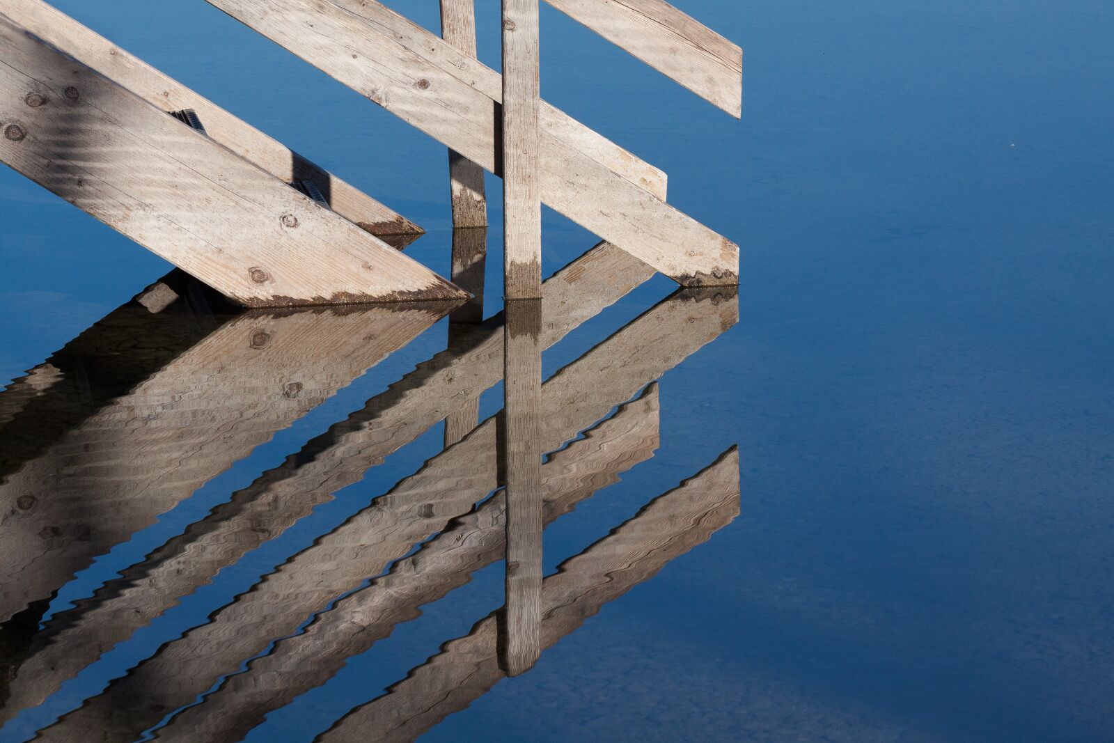 Canon EOS 50D sample photo. Web, wood, boardwalk photography