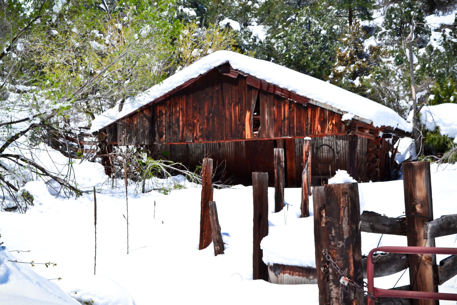Nikon D3100 sample photo. Snow, winter, colorado photography