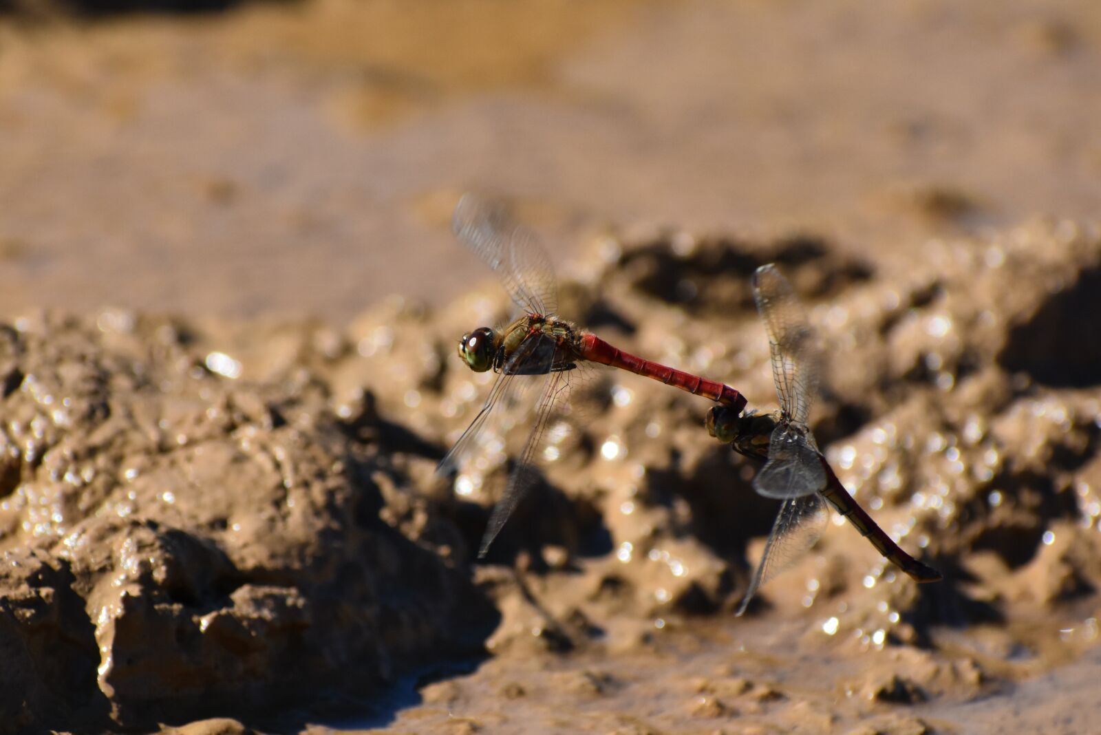 Nikon D7200 sample photo. Natural, landscape, waterside photography