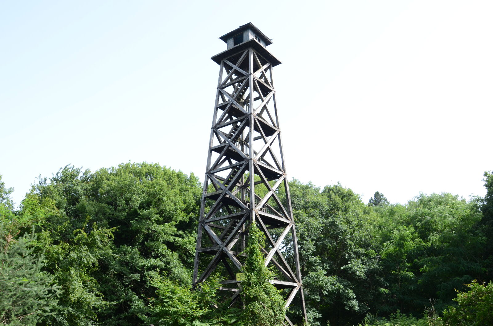 Nikon D7000 sample photo. Belgrad, fire, firetower, jungle photography