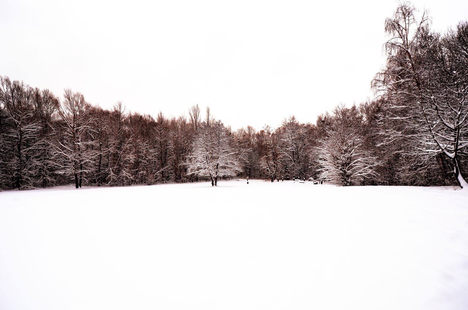 Nikon D7000 sample photo. Snow, forest, trees photography