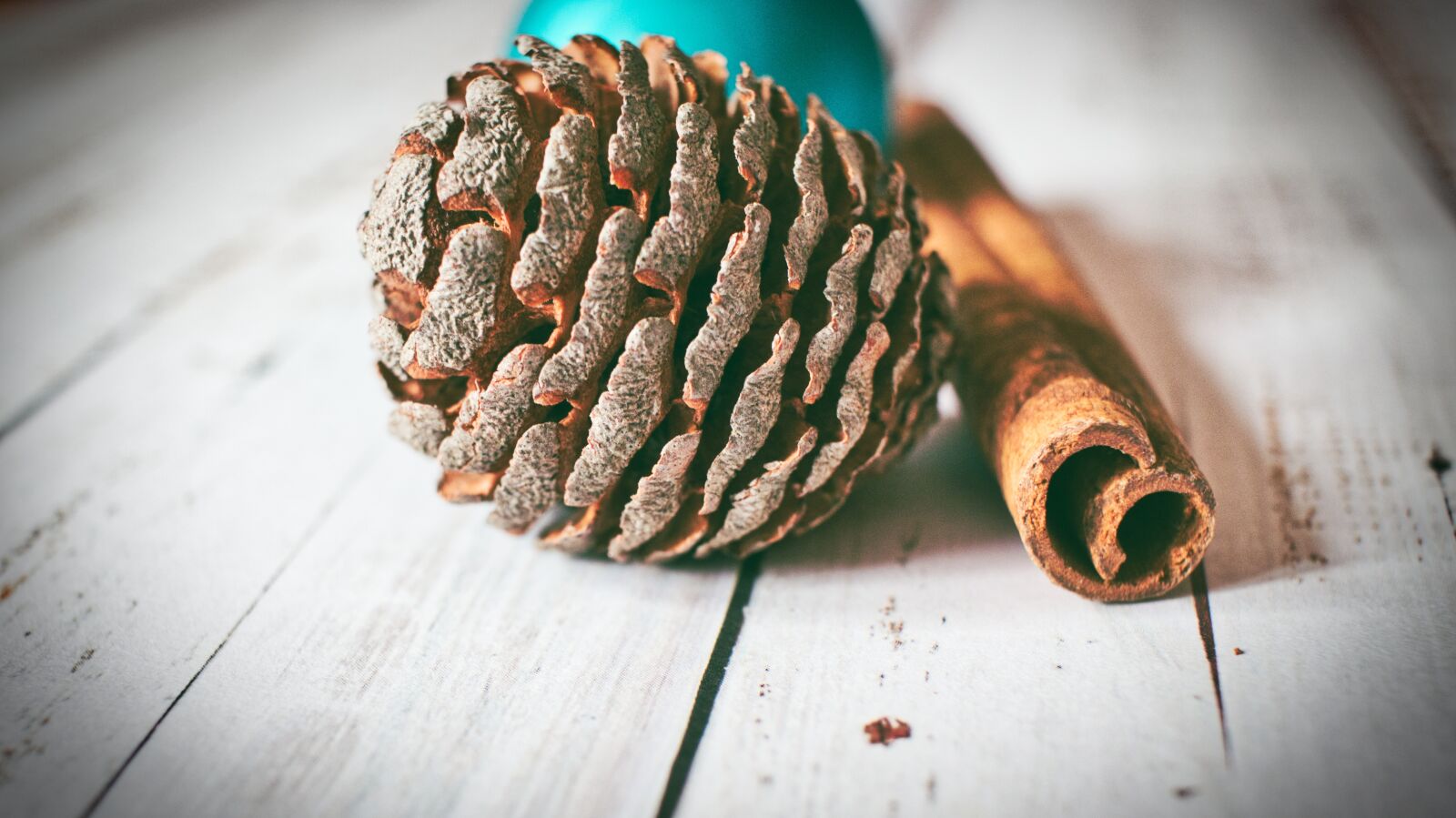 Canon EF-S 24mm F2.8 STM sample photo. Pine cones, christmas, zimstange photography