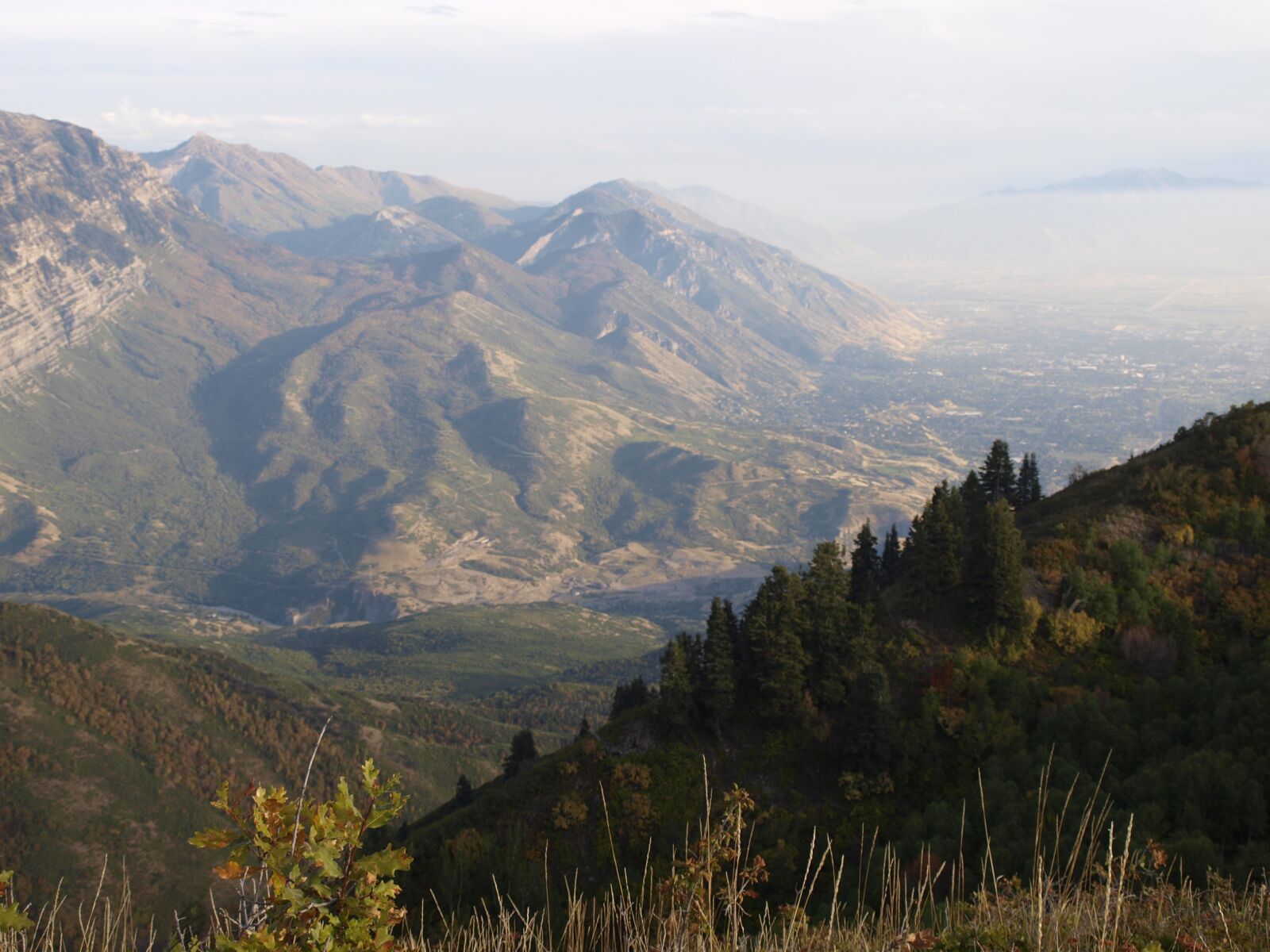 Olympus E-520 (EVOLT E-520) sample photo. Landscape, trees, hills mountains photography