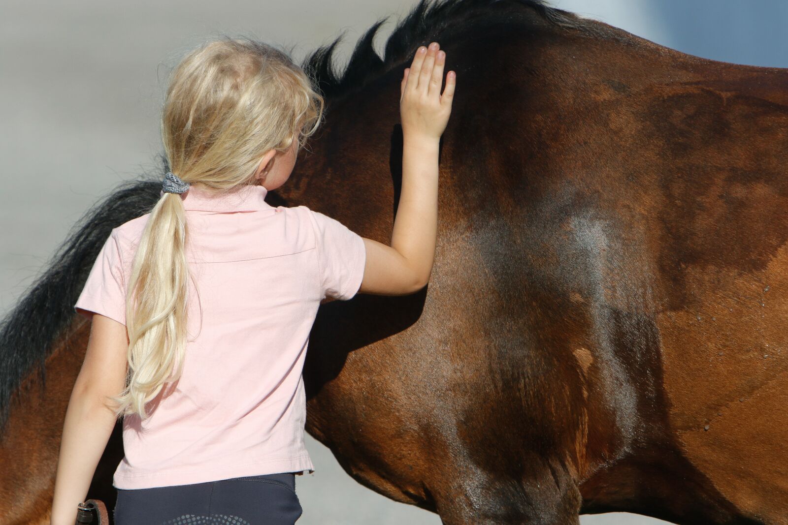 Canon EOS 7D Mark II sample photo. Horse, pony, kid photography
