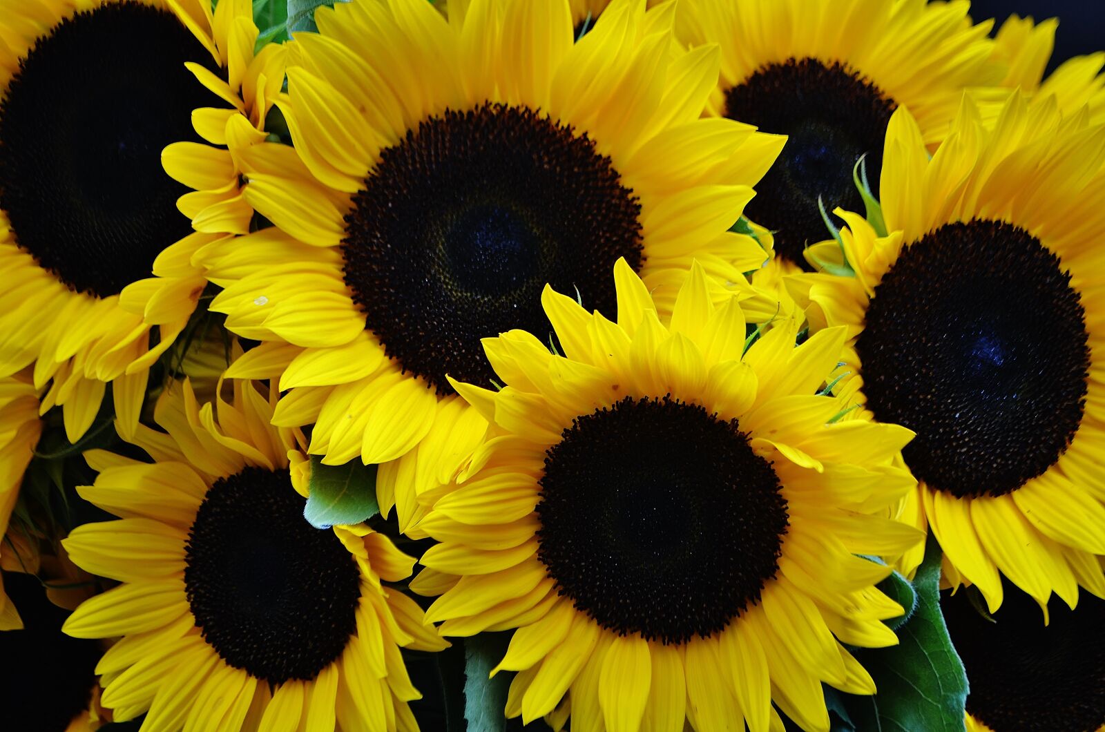 Nikon D5100 sample photo. Seattle, pike place, tourism photography