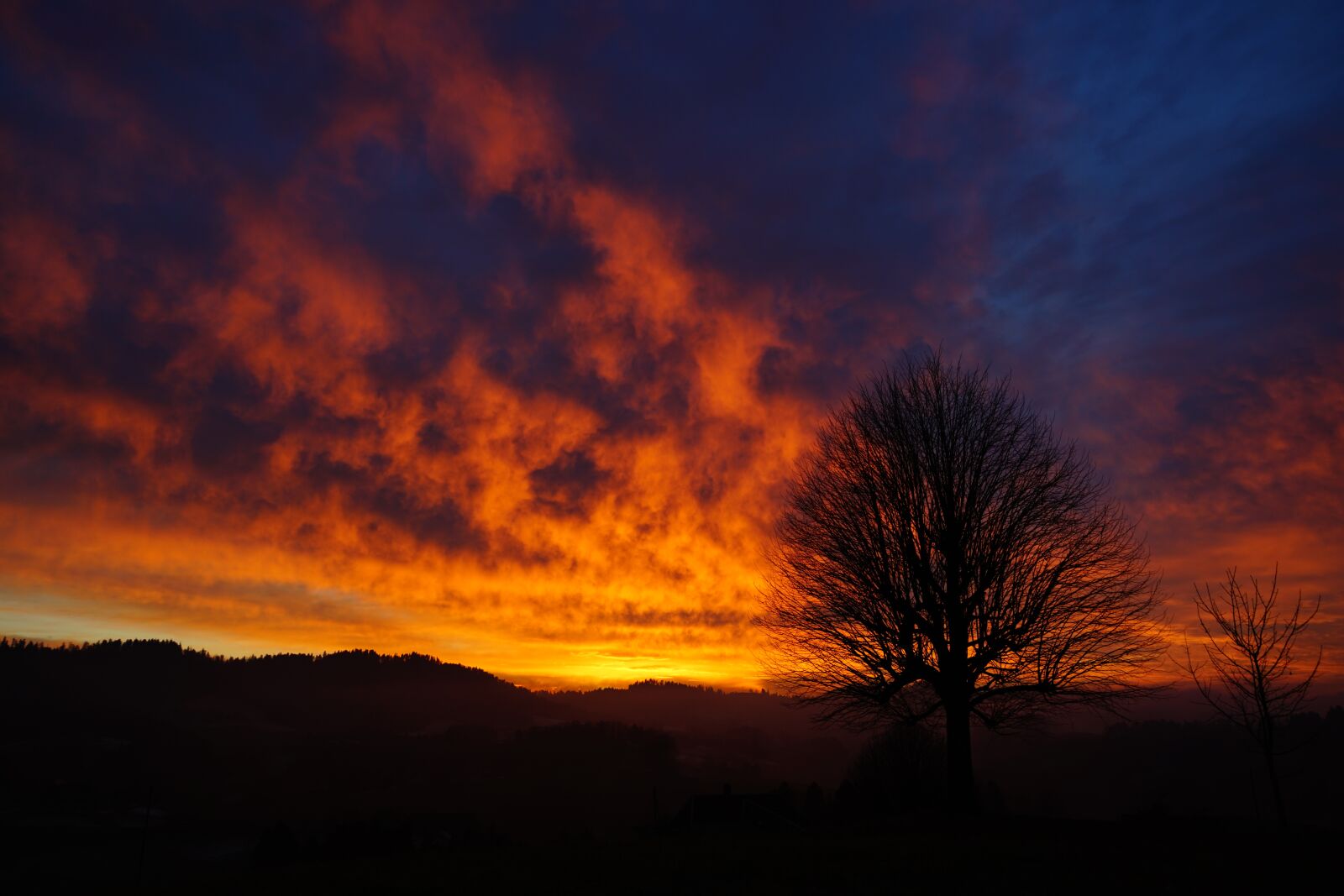 Sony a7R II + Sony FE 24-240mm F3.5-6.3 OSS sample photo. Sunset, tree, aesthetic photography