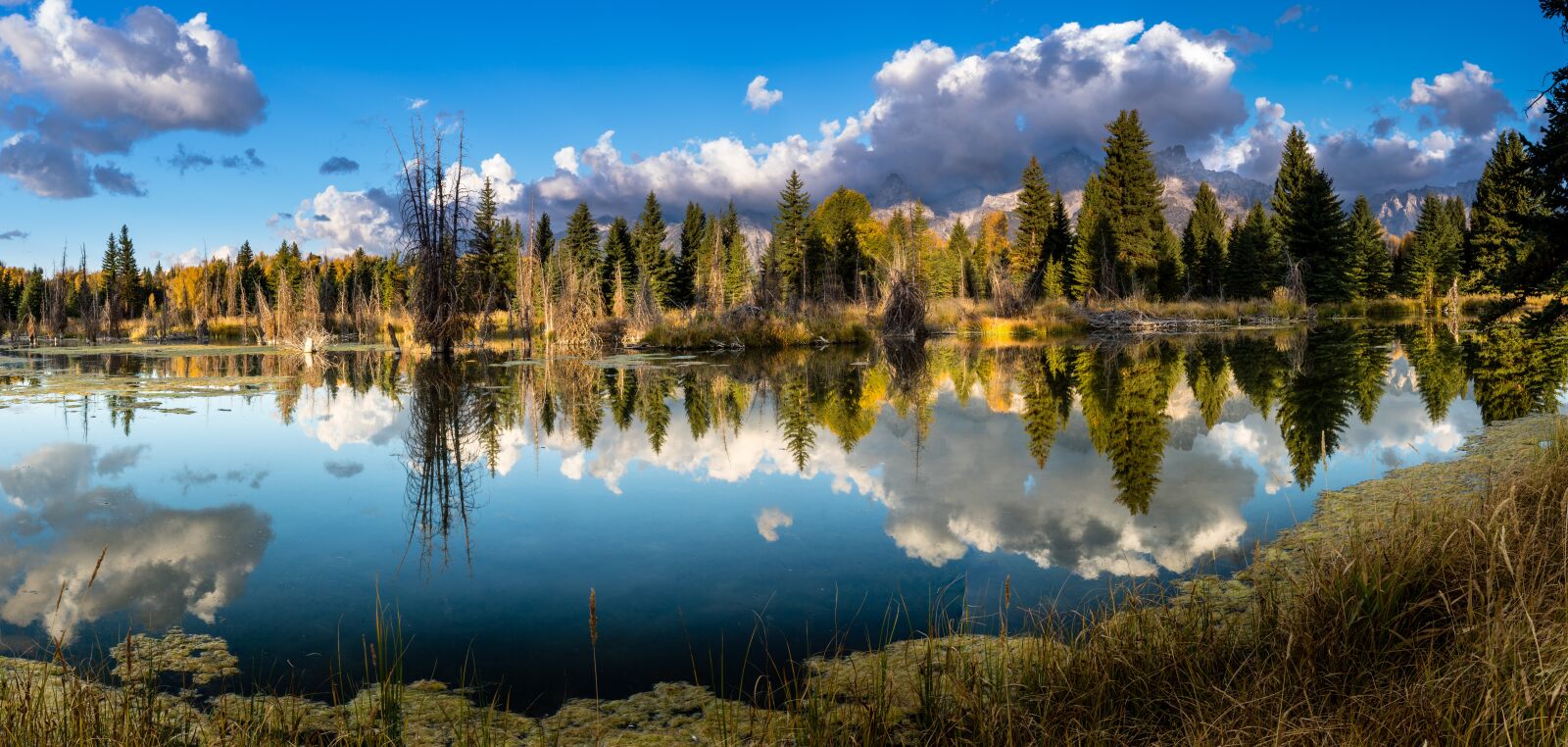 Sony FE 16-35mm F2.8 GM sample photo. Schwabacher landing, snake river photography