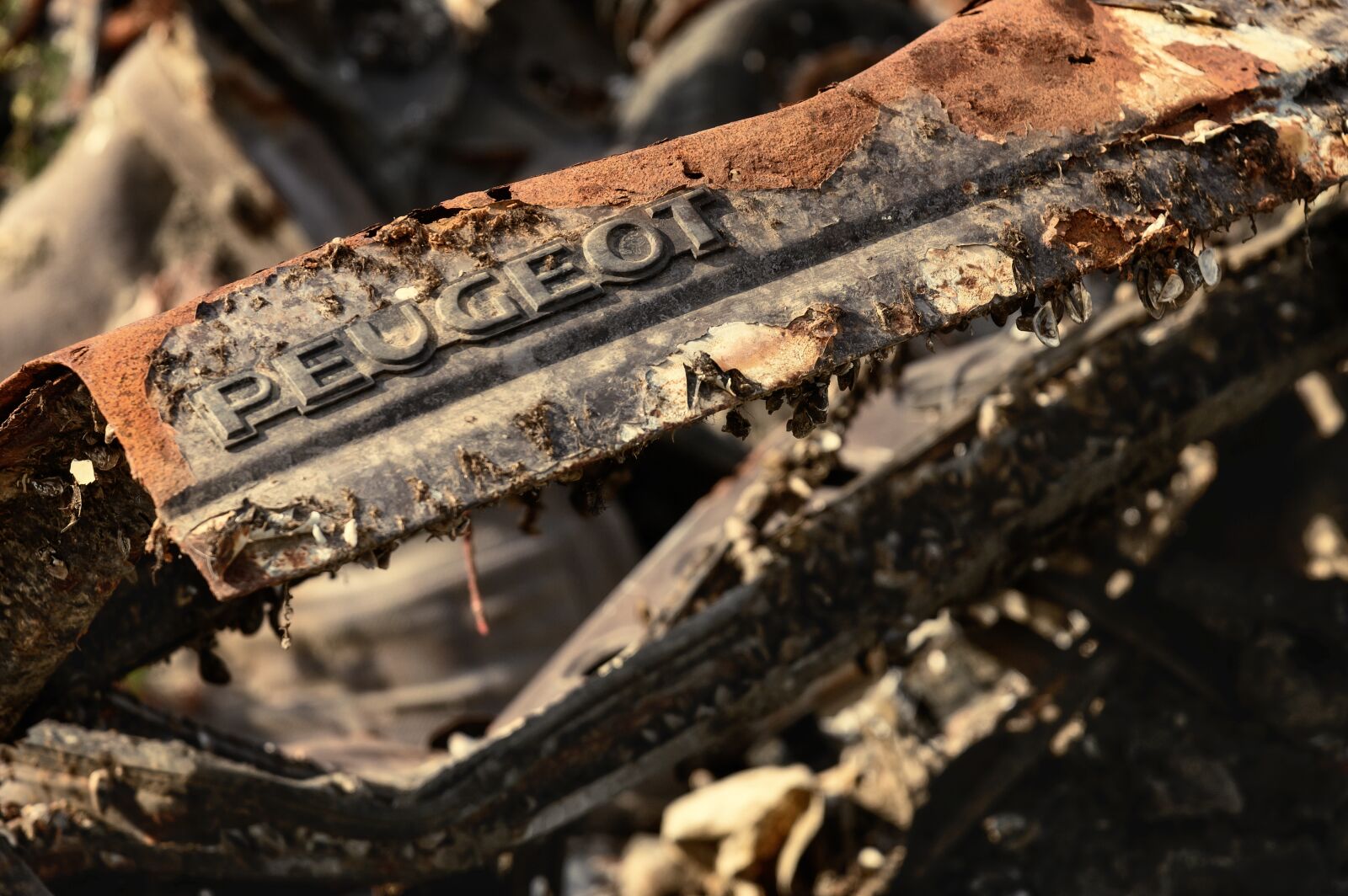 Nikon Z6 sample photo. Auto, rust, scrap photography