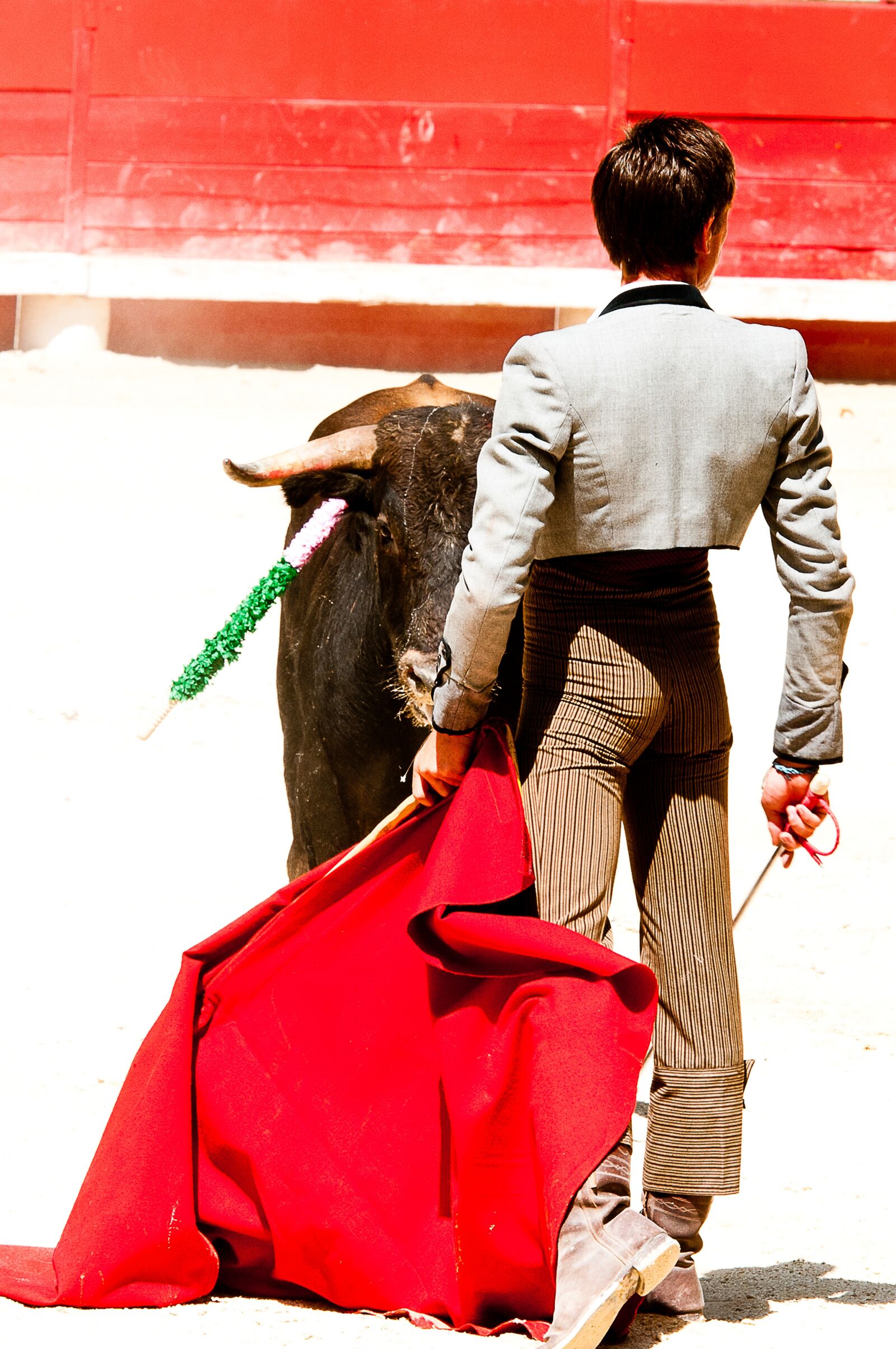 Nikon D300S sample photo. Bolsin, bullfight, bull photography