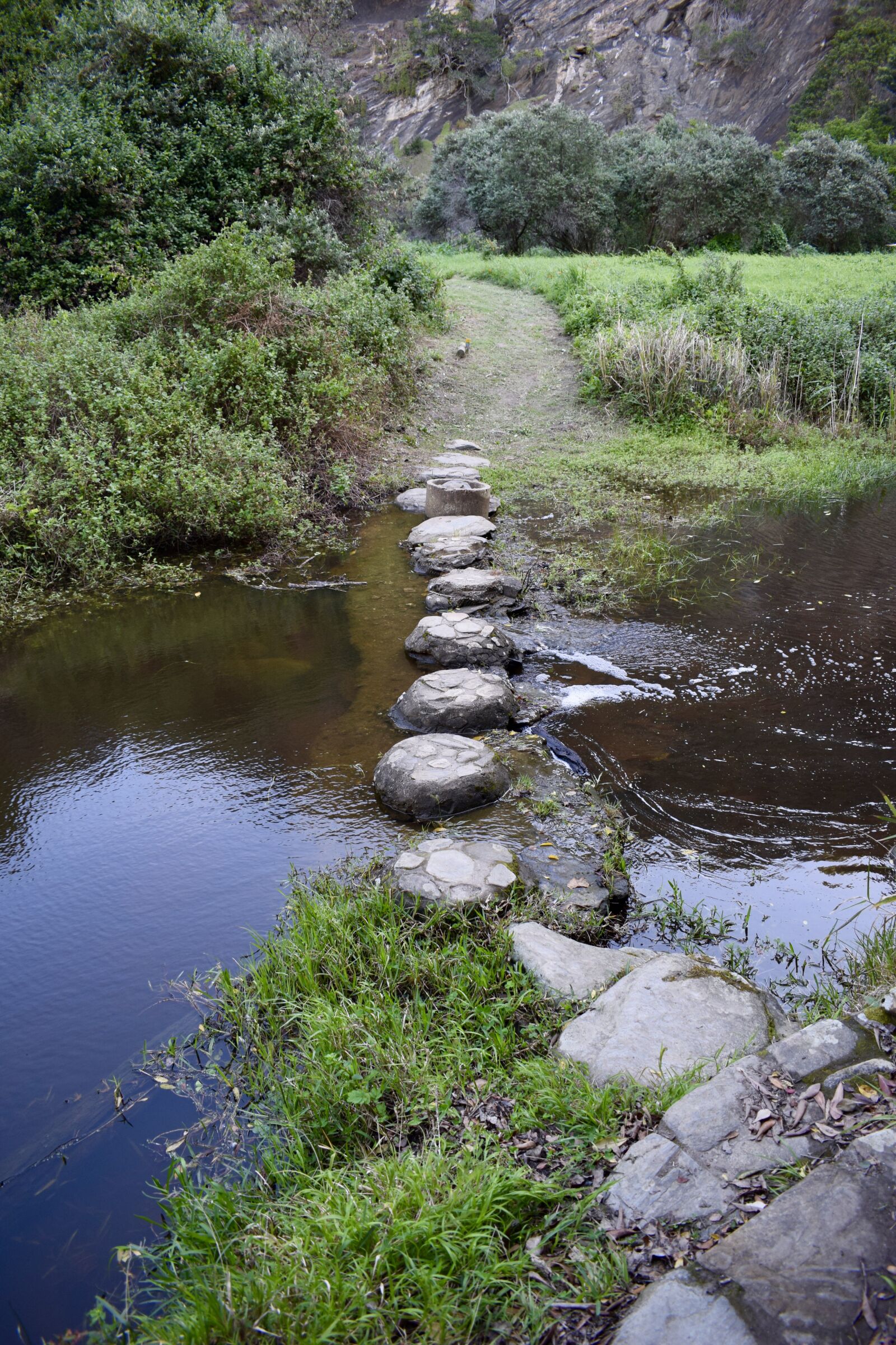 Nikon D5300 sample photo. Stepping stones, path, river photography