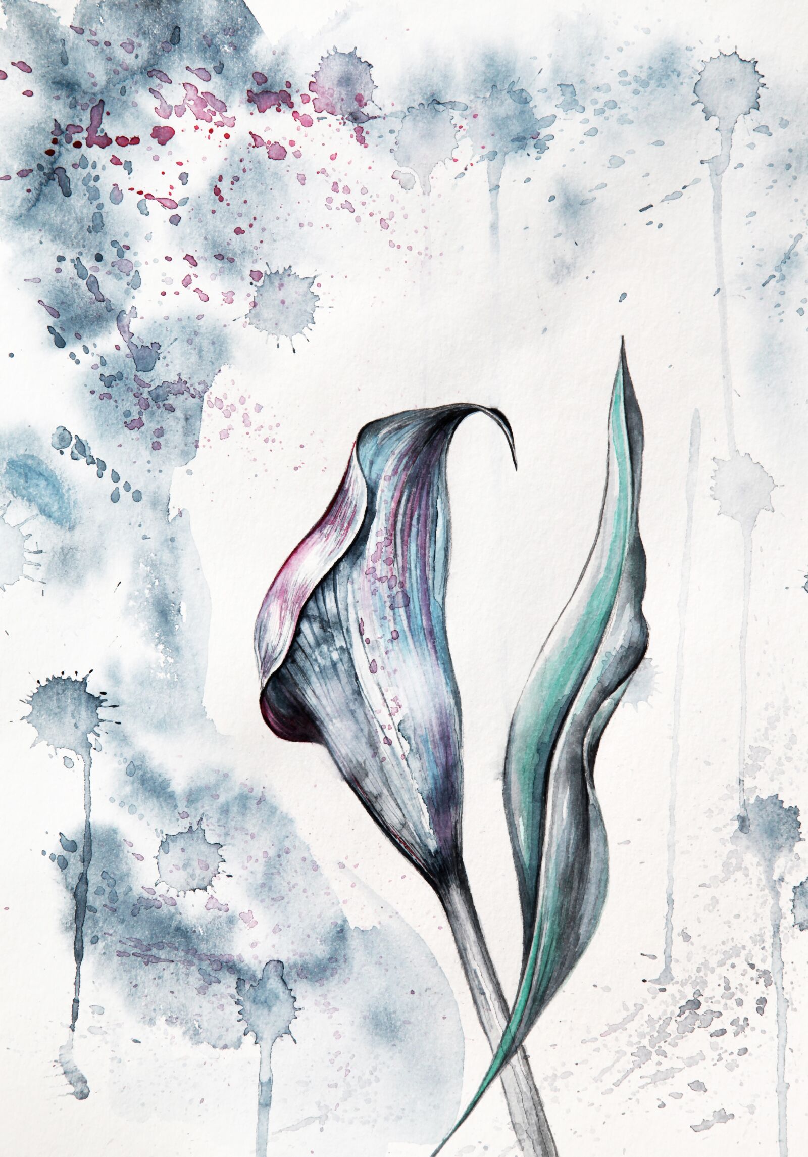 Canon EOS 5D Mark II sample photo. Flower, abstract, floral photography