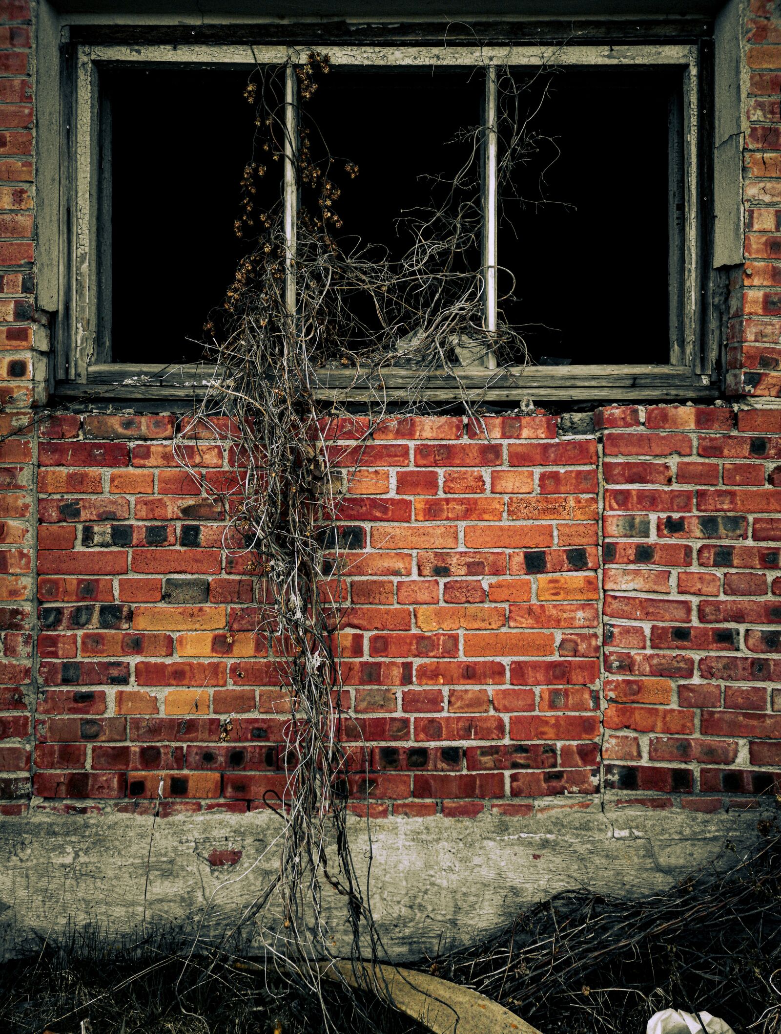 HUAWEI CLT-L29 sample photo. Window, alone, suburbs photography