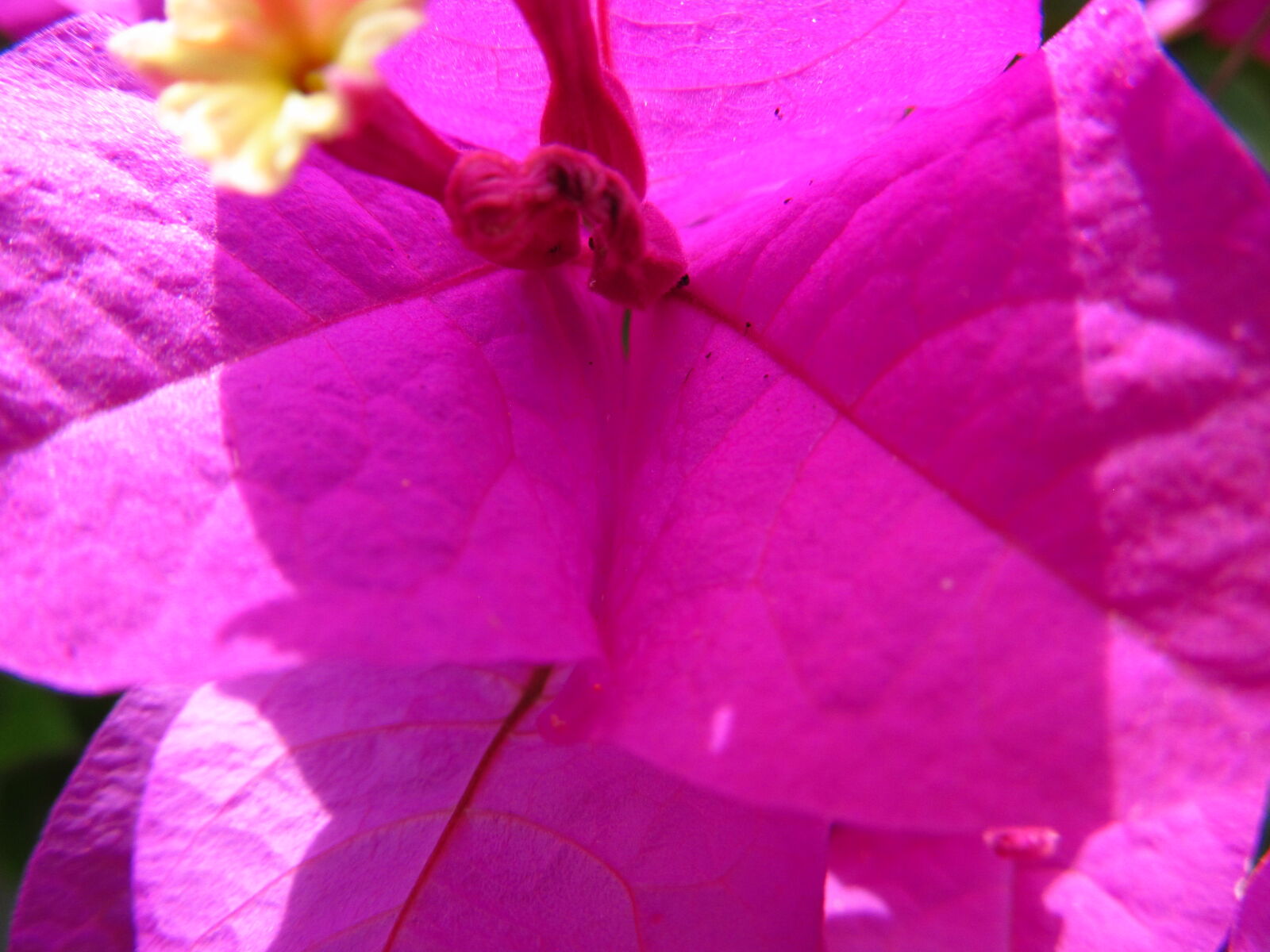 Canon PowerShot SX130 IS sample photo