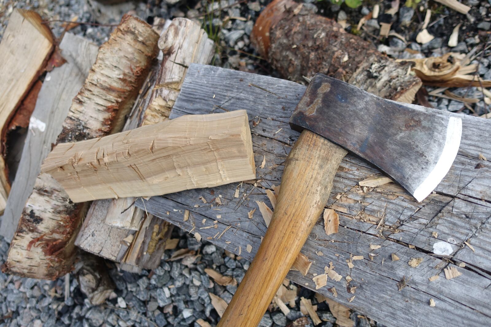 Sony Cyber-shot DSC-RX100 III sample photo. Axe, forrest, nature photography
