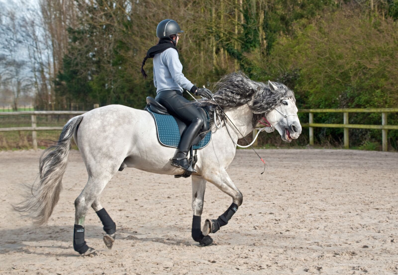 Nikon D300 sample photo. Horse, cavaliere, horseback riding photography