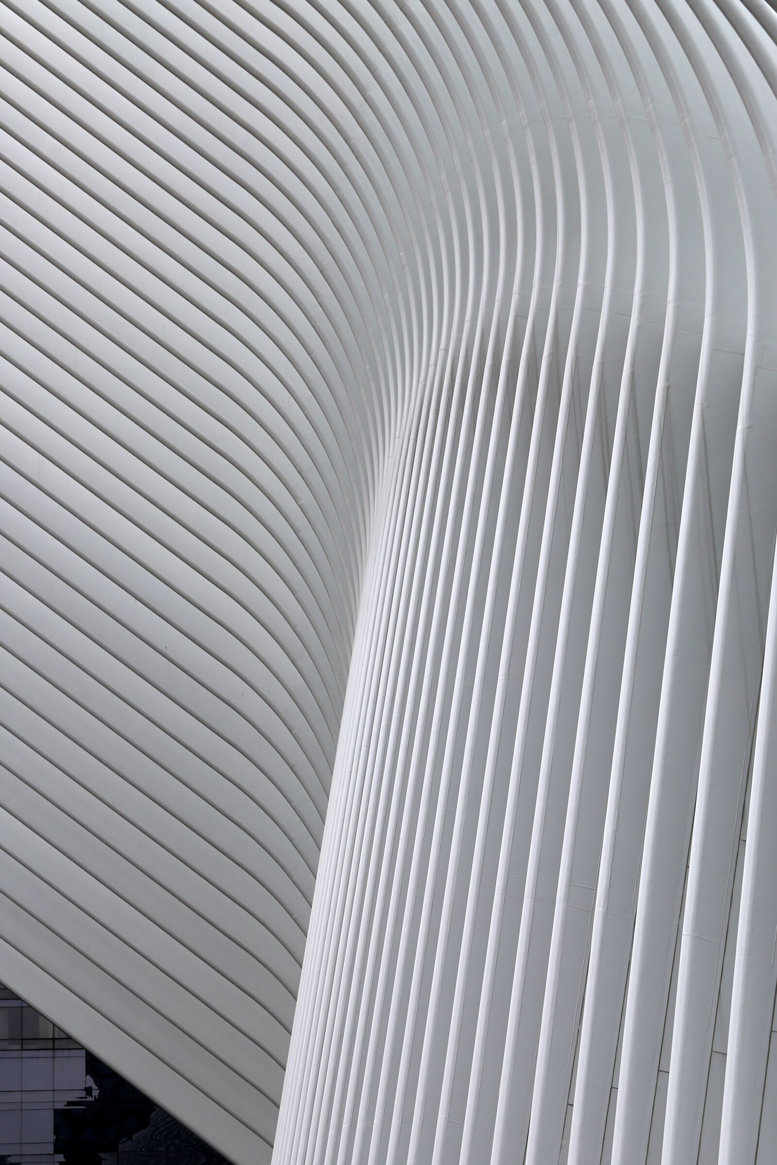 Canon EF 24-70mm F2.8L II USM sample photo. New york, calatrava, museum photography