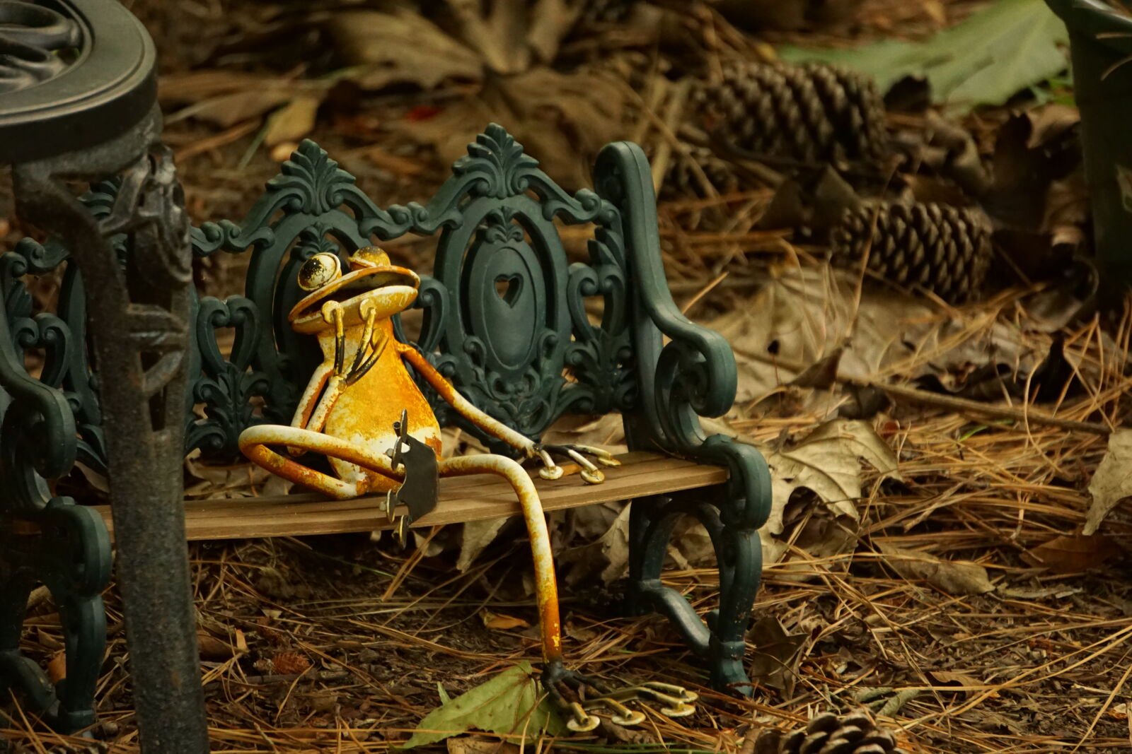 Sony a6000 sample photo