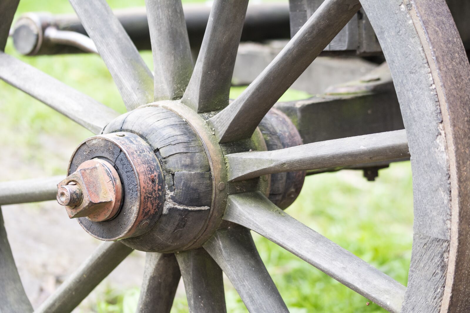 Nikon D5200 sample photo. Ash, wagon wheel, karrenwiel photography