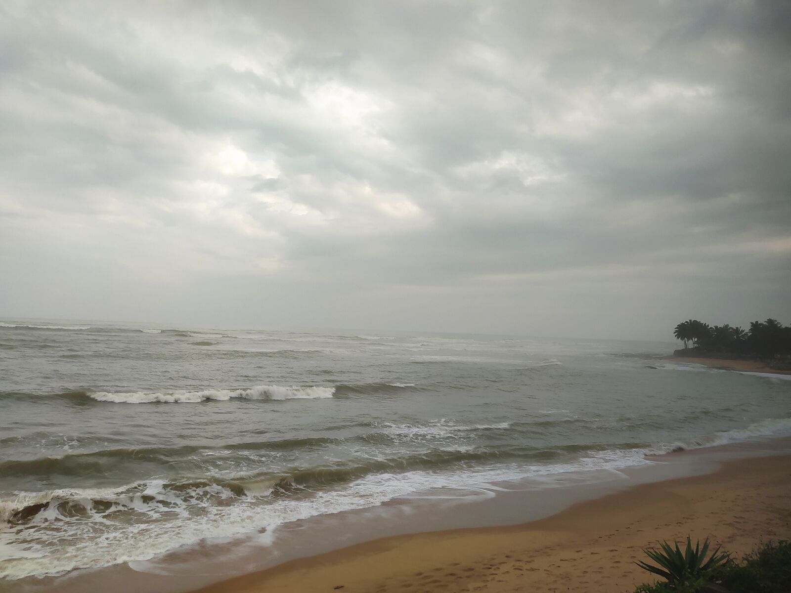 Xiaomi Redmi Note 8 sample photo. Beech, sea, waves photography