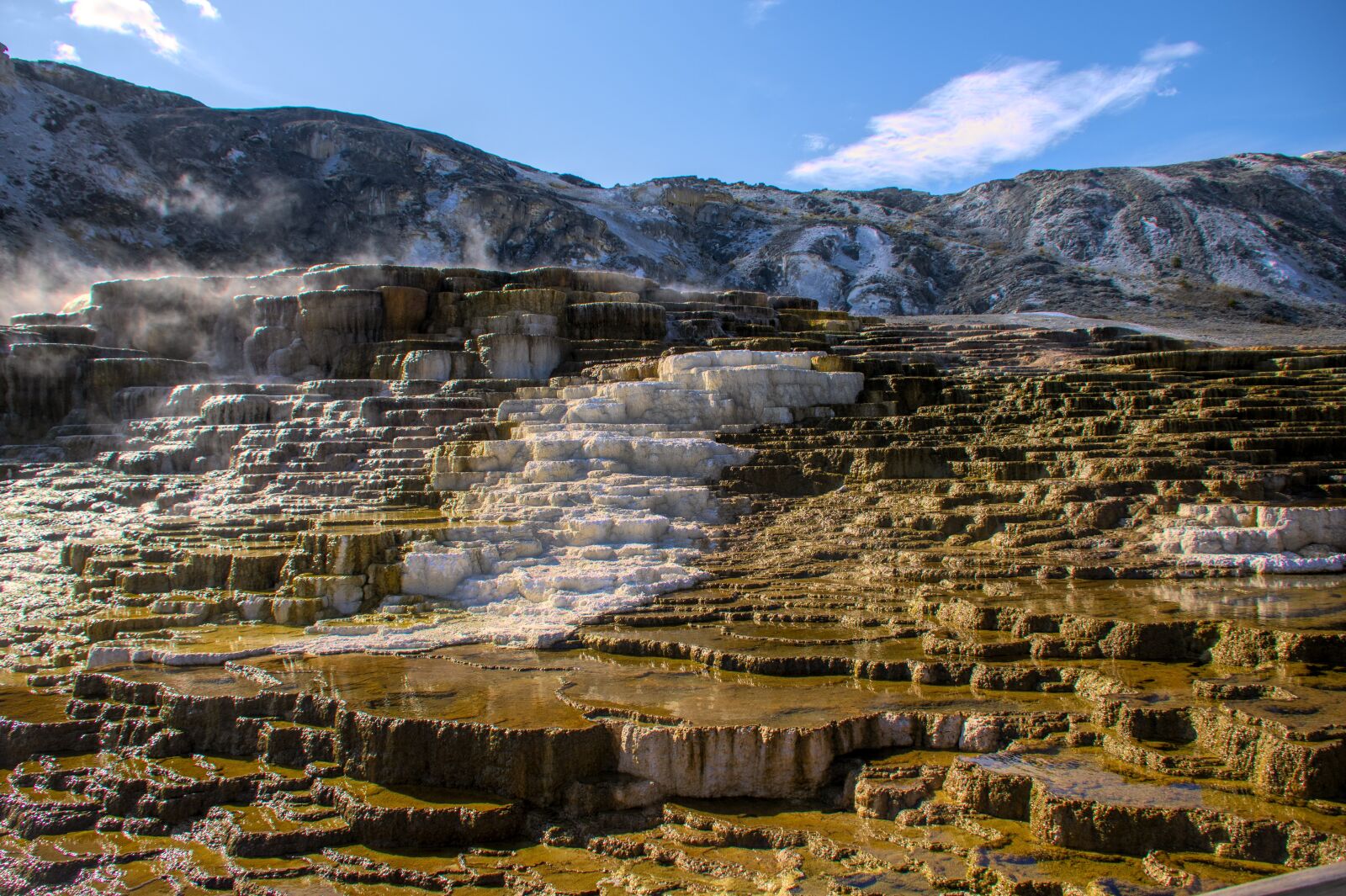 Nikon D850 sample photo. Yellowstone, thermals, park photography