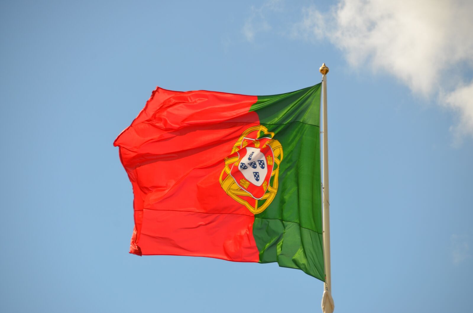 Nikon D5100 sample photo. Flag, portugal, national colours photography