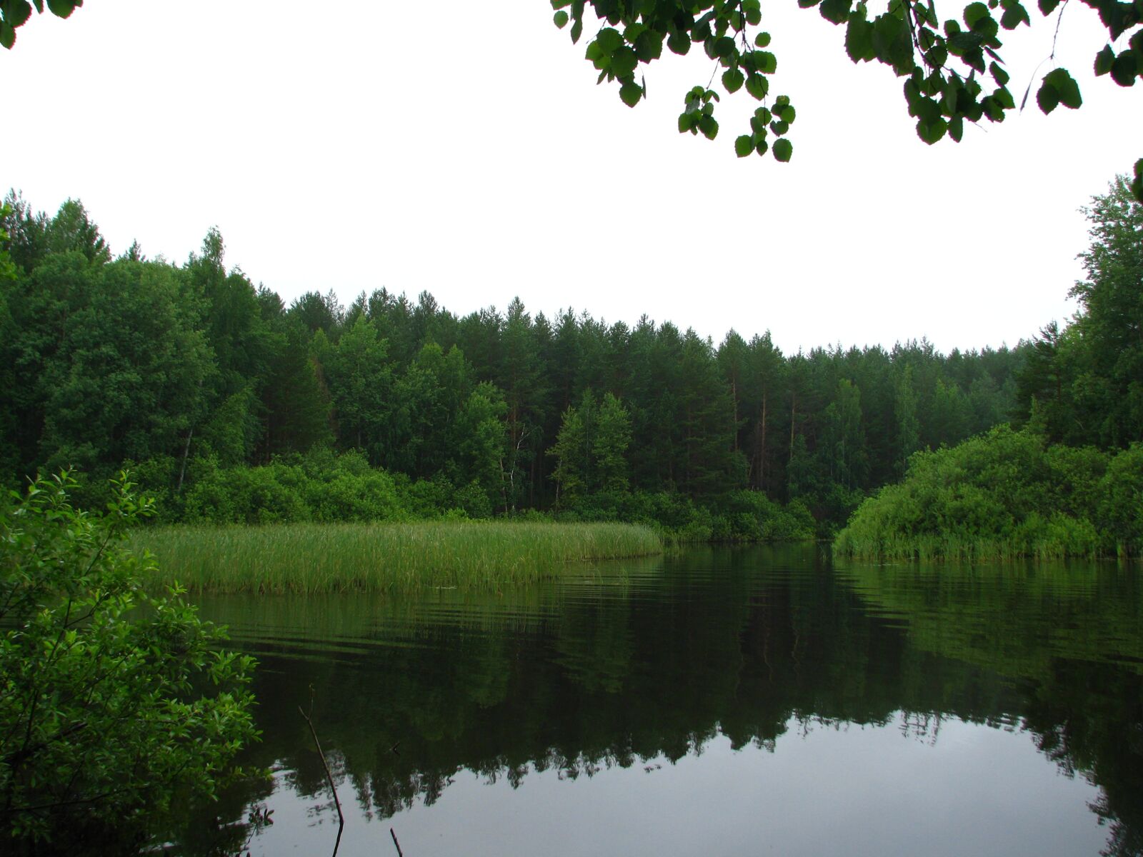 Canon POWERSHOT S5 IS sample photo. Perm krai, sky, russia photography