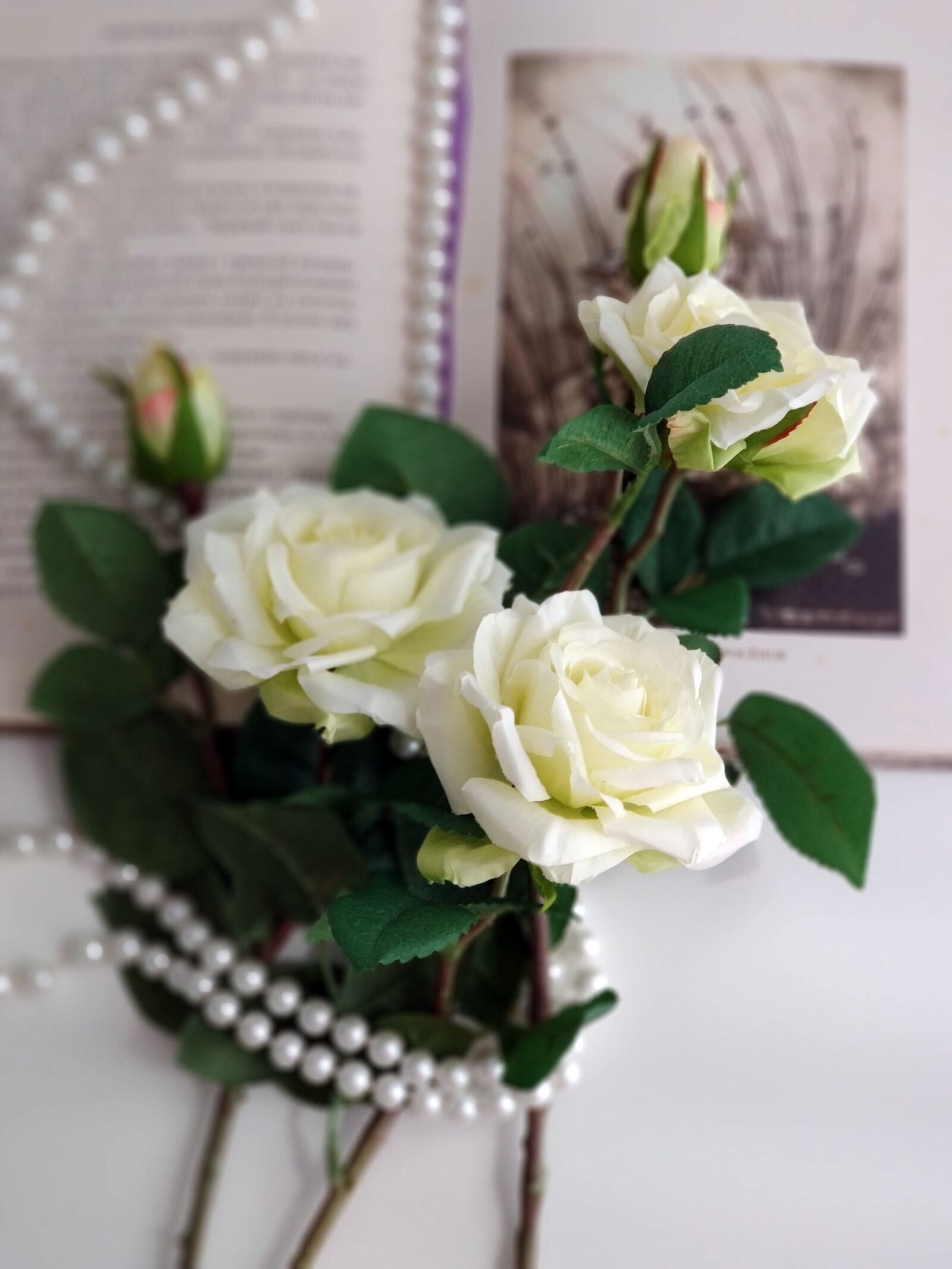 Xiaomi MI6 sample photo. Roses, pearls, book photography