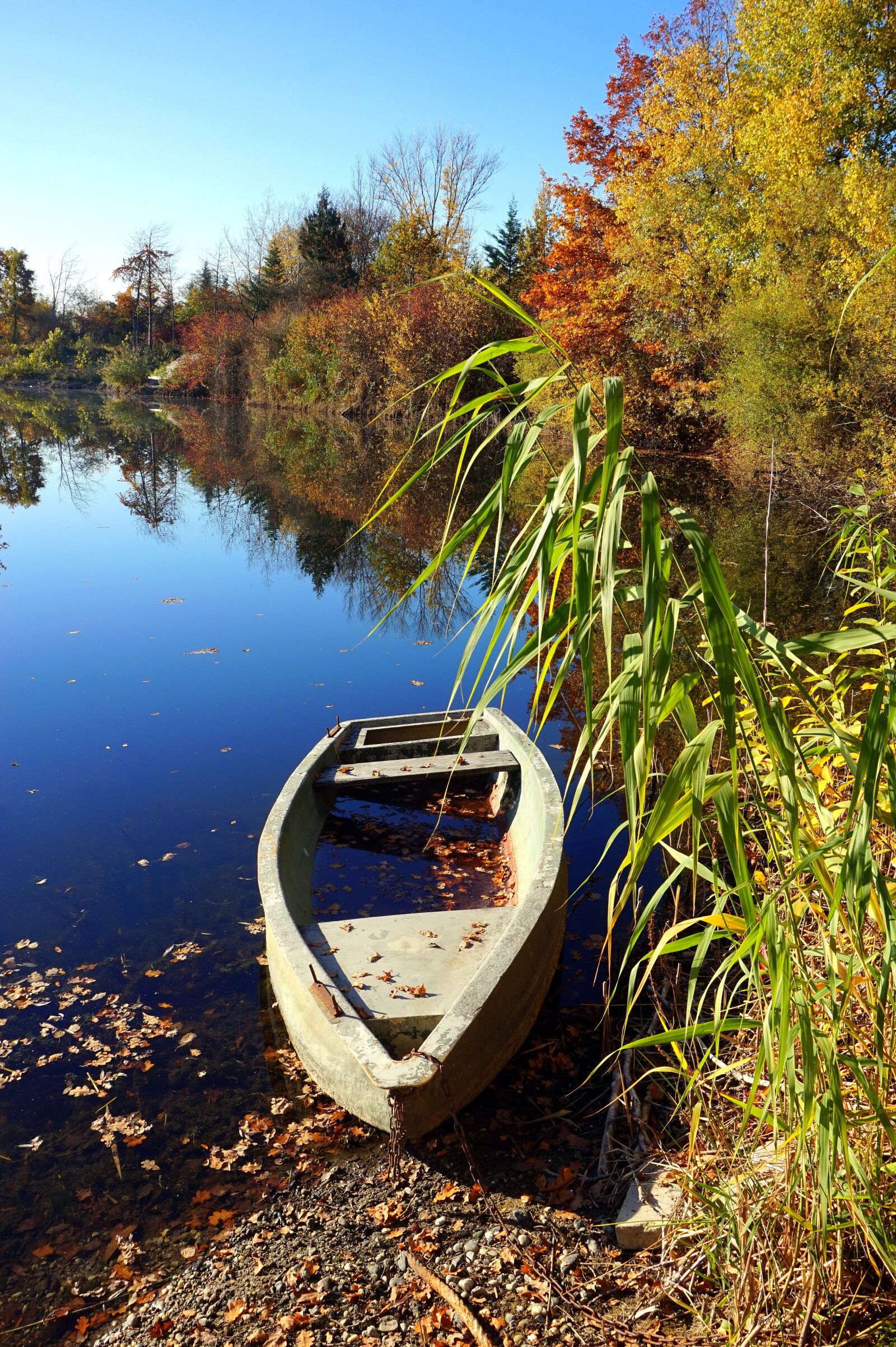 Sony Alpha a5000 (ILCE 5000) sample photo. Autumn, lake, boat photography