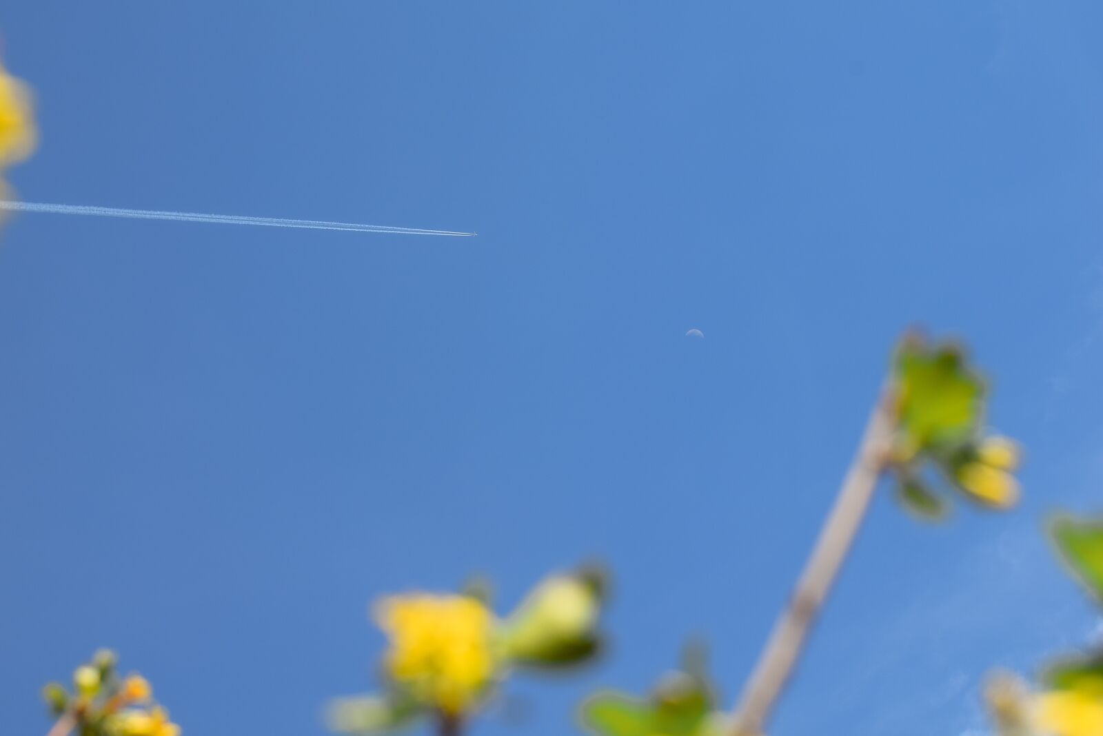Nikon D3300 sample photo. Sky, month, aircraft photography