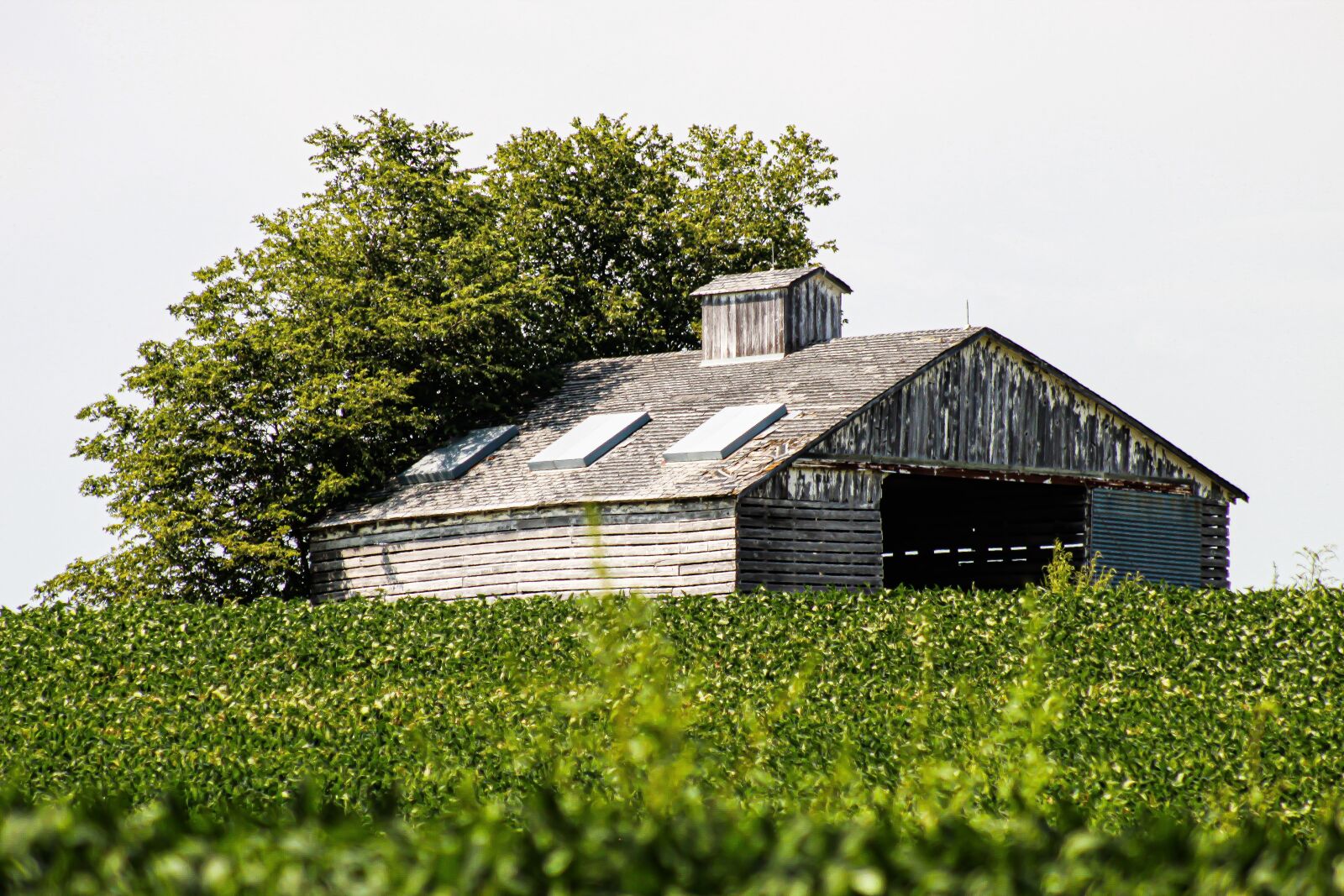 EF75-300mm f/4-5.6 sample photo. Building, barn, farmhouse photography