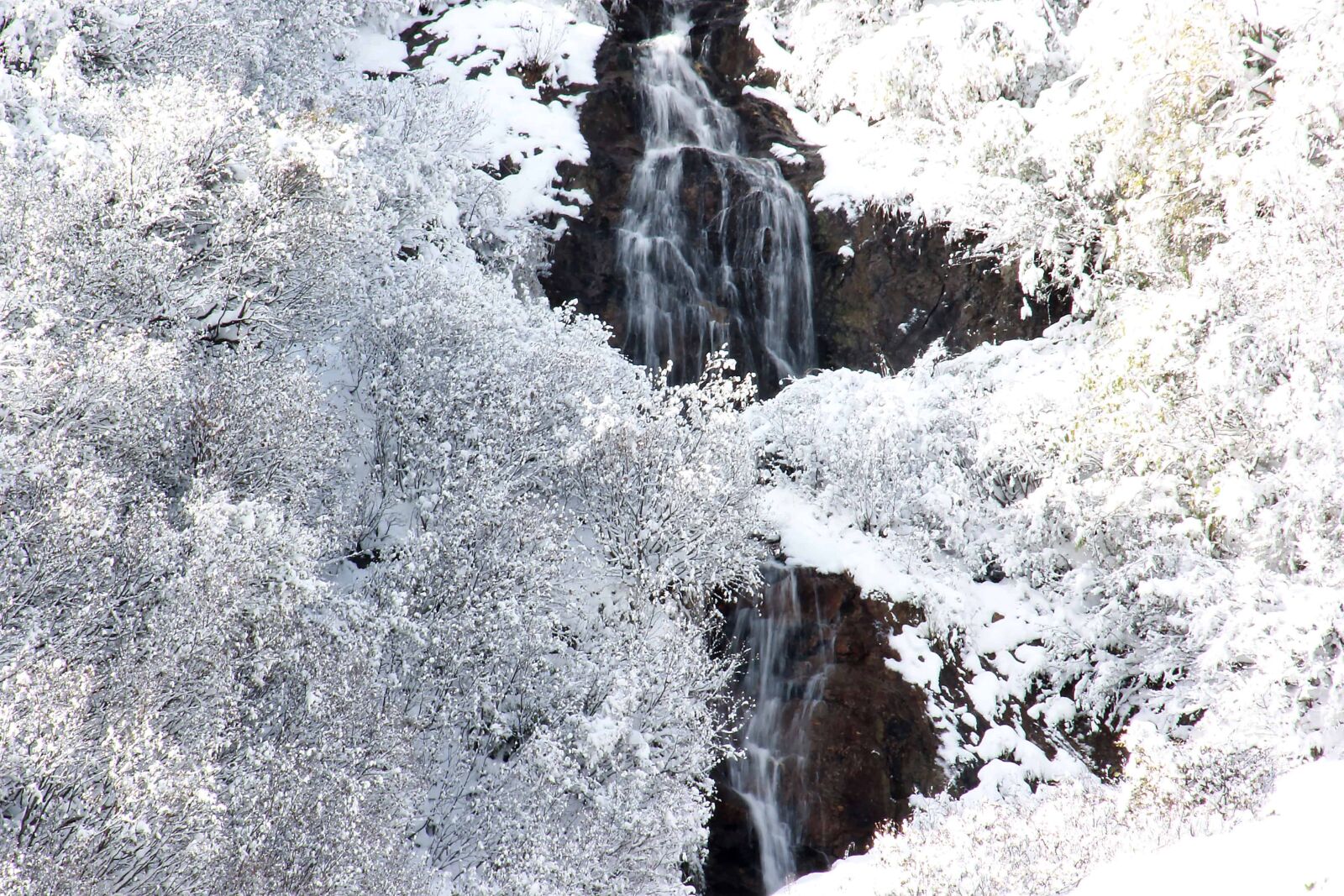 Canon EOS 1100D (EOS Rebel T3 / EOS Kiss X50) sample photo. Winter, ice, cold, snowflake photography