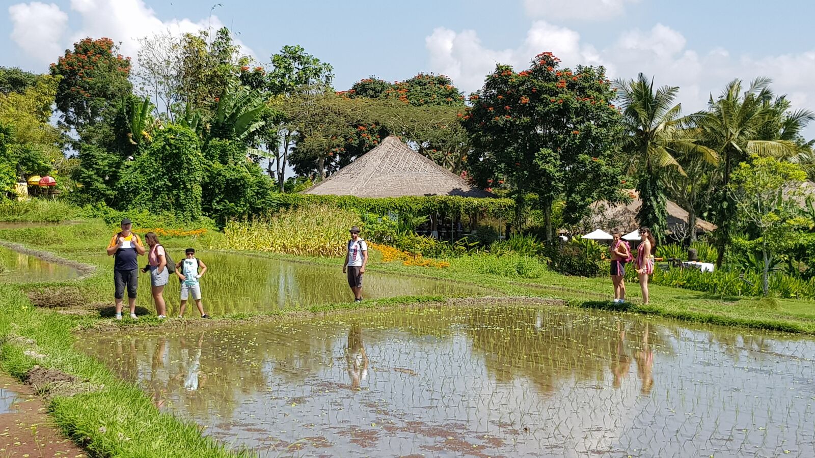 Samsung Galaxy S8 sample photo. Bali, rice field, indonesia photography