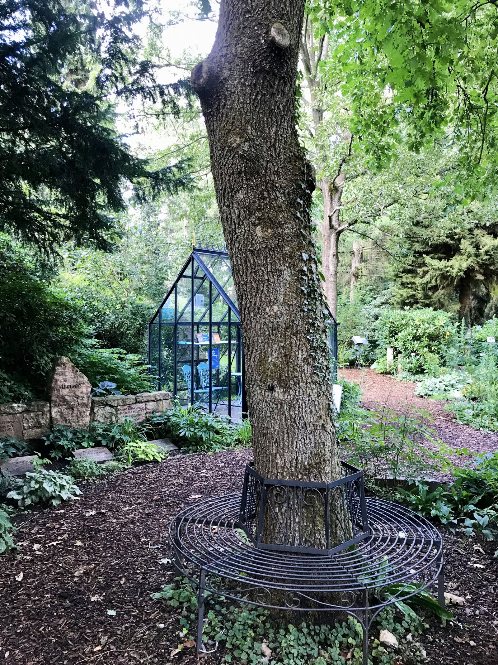 iPhone 7 back camera 3.99mm f/1.8 sample photo. Around bank, tree, log photography
