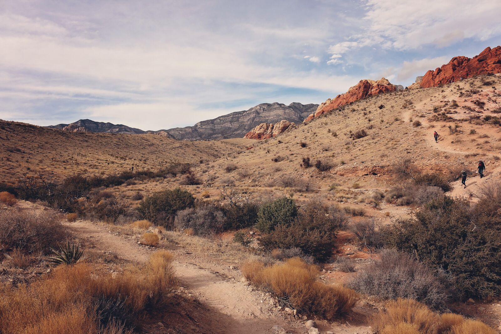 Canon EOS 70D sample photo. Red rock canyon, las photography