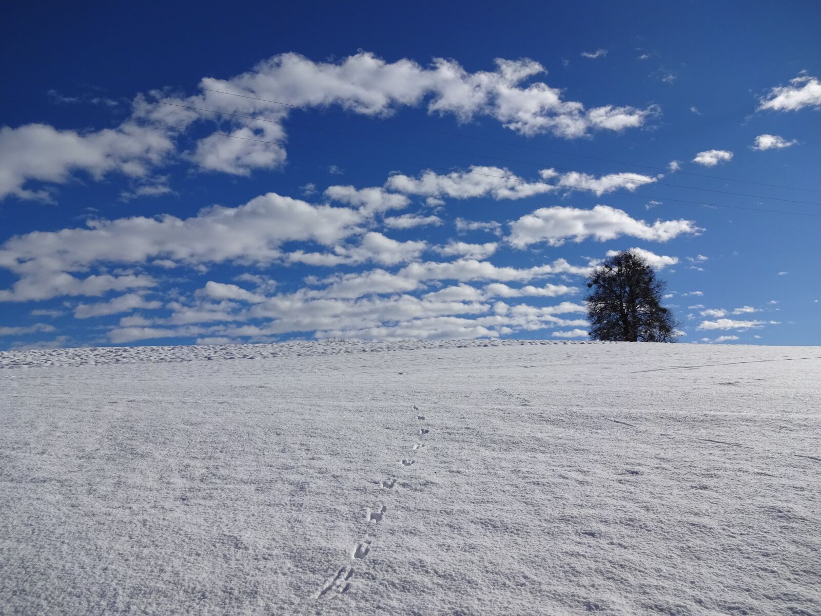 Sony Cyber-shot DSC-WX220 sample photo. Natural monument, winter mood photography