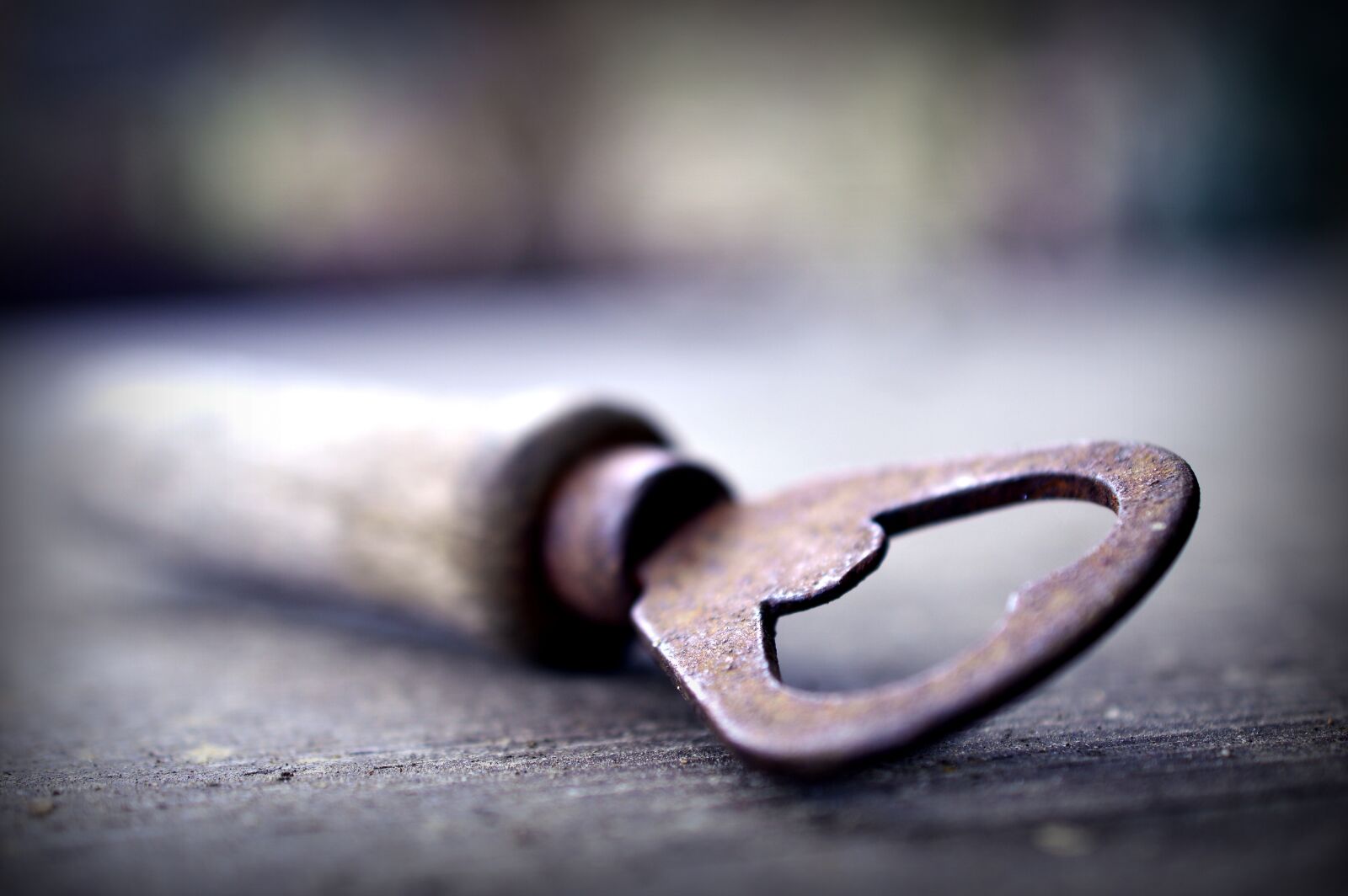 Nikon D3200 sample photo. Bottle opener, tool, accessories photography